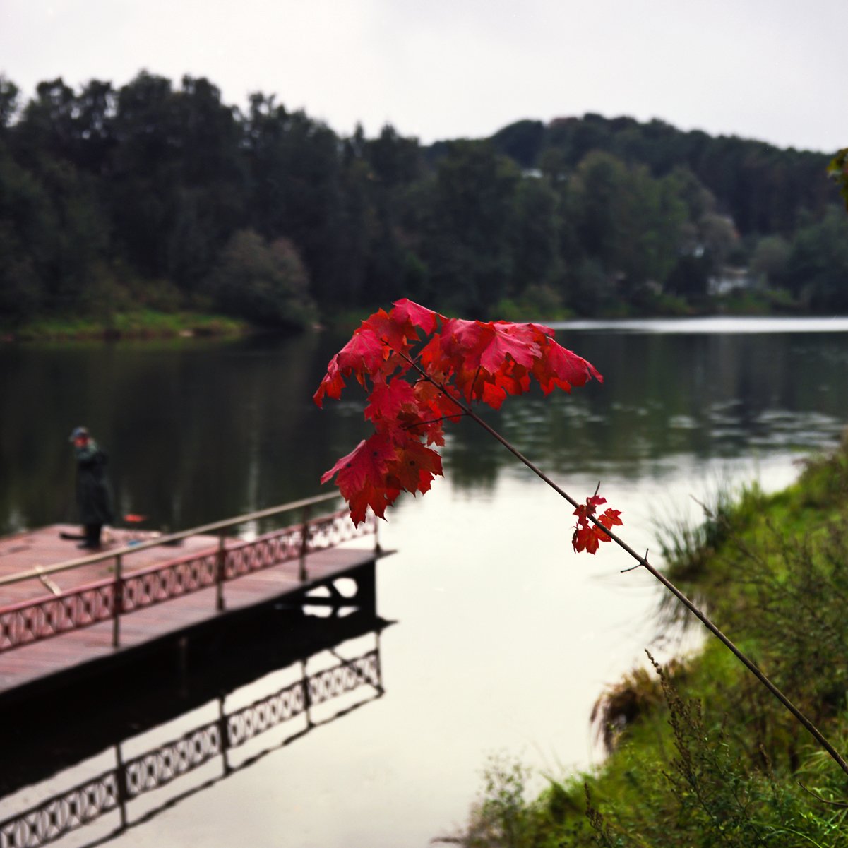 Озеро., Осень., Утро., Александр Резников