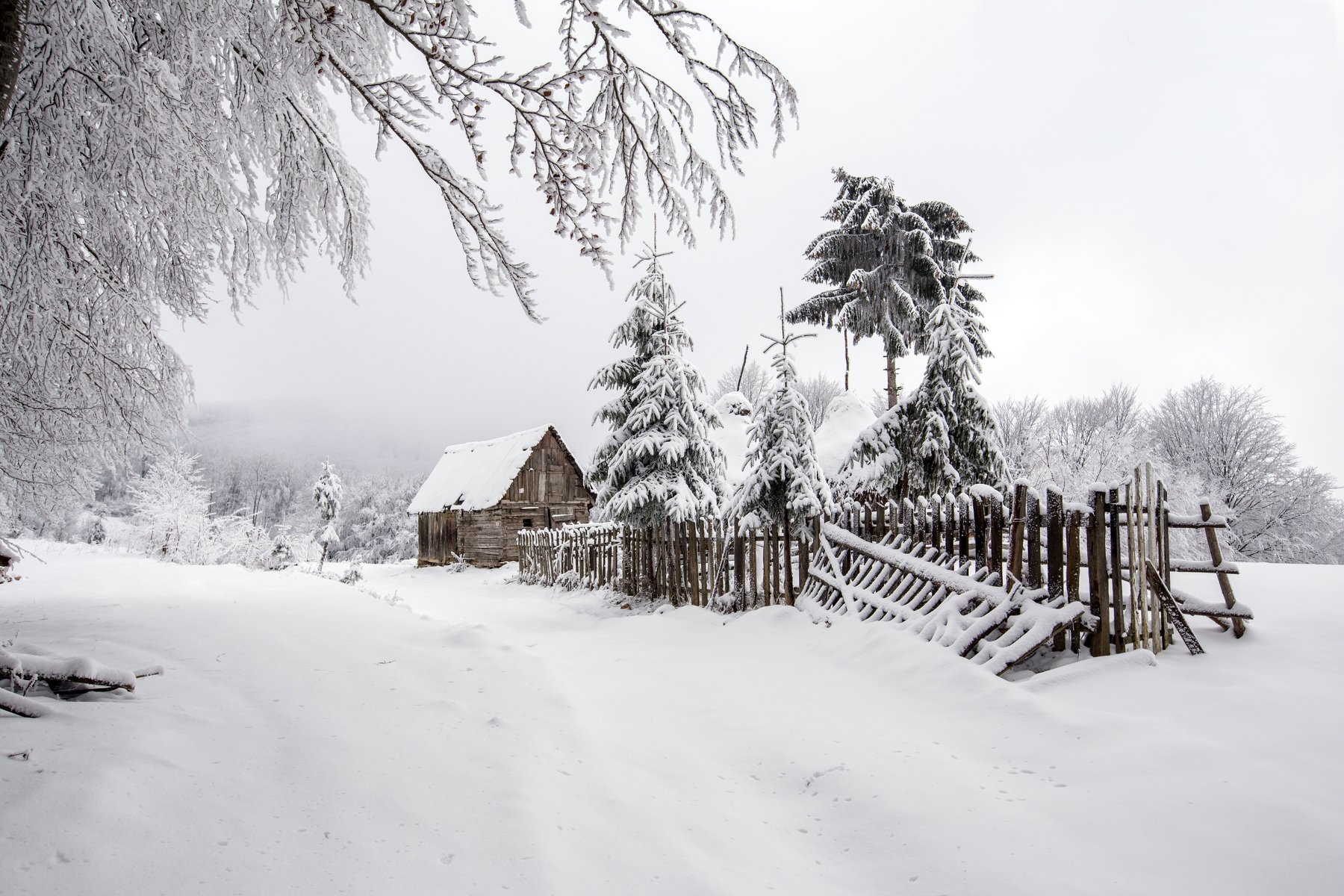 winter,snow,white,trees,fence, Marius Turc