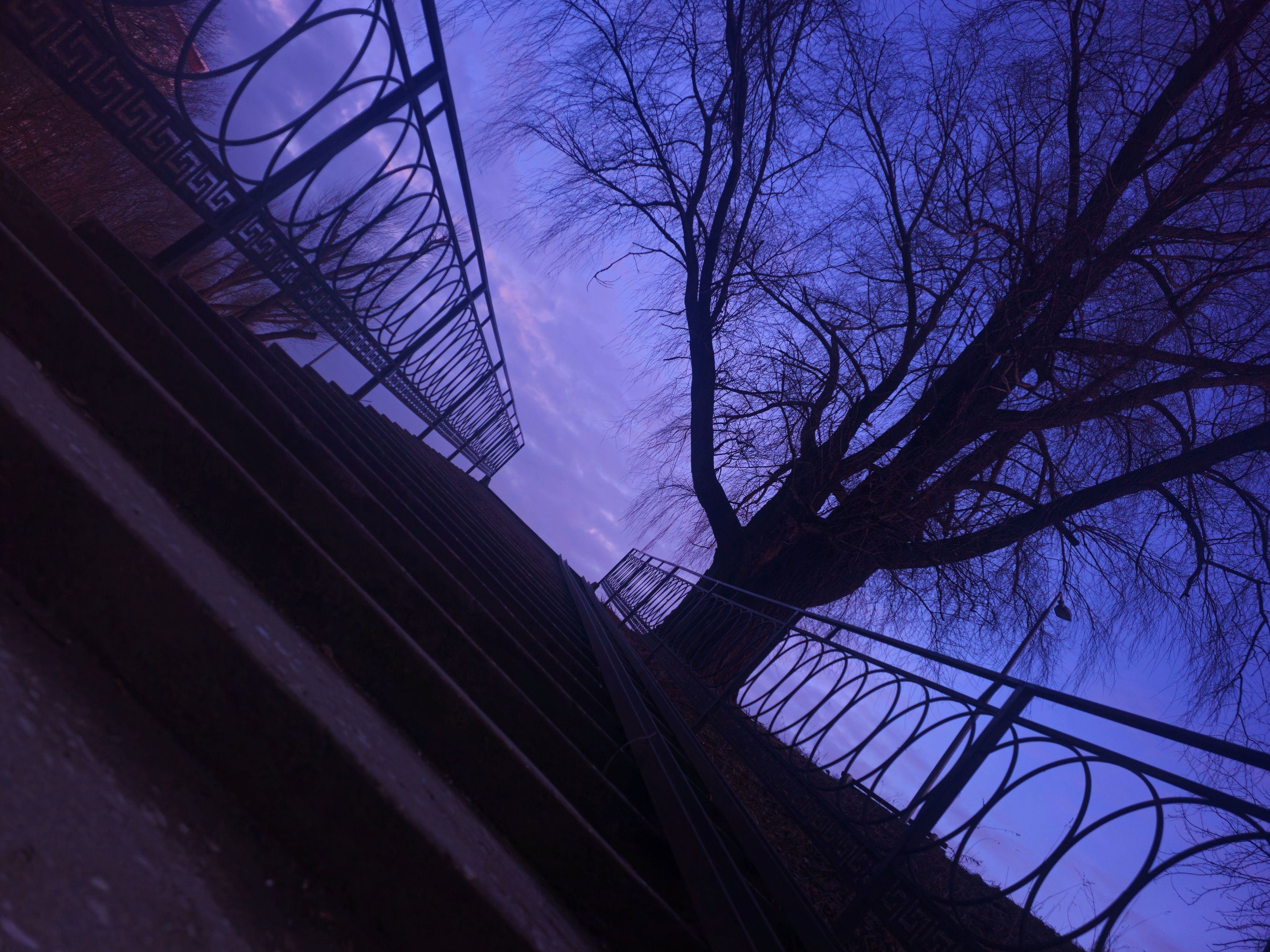 , Мария Яковлева