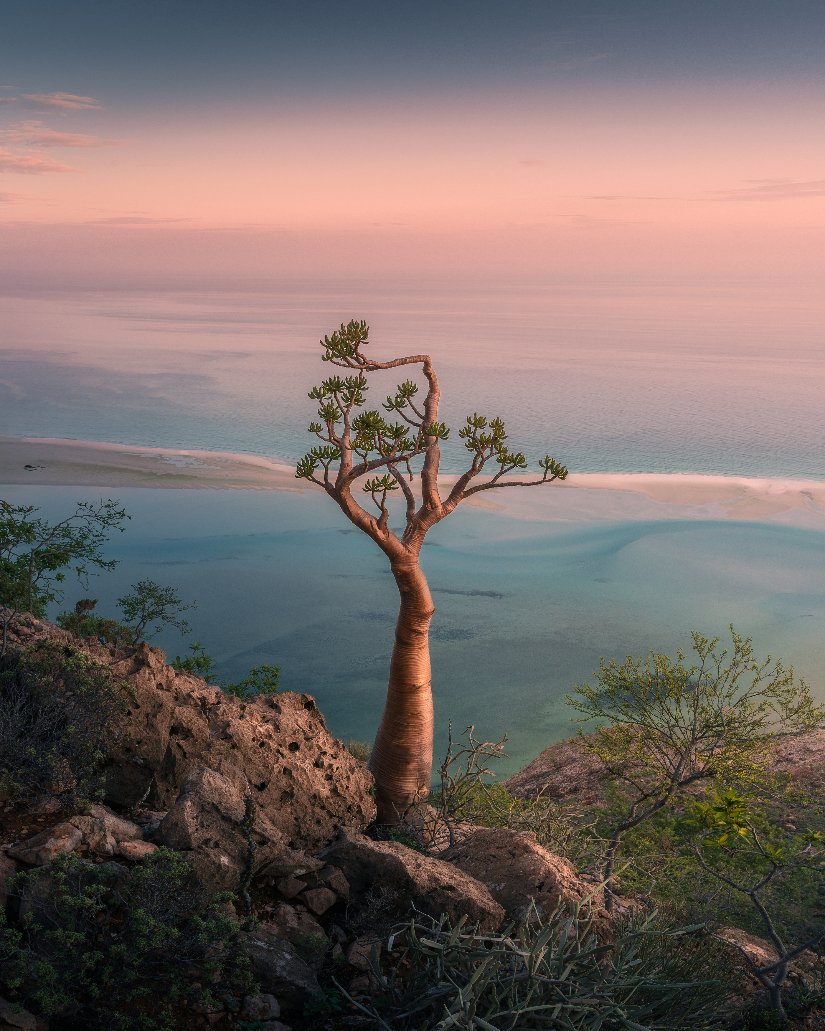 , Вукотић Никола