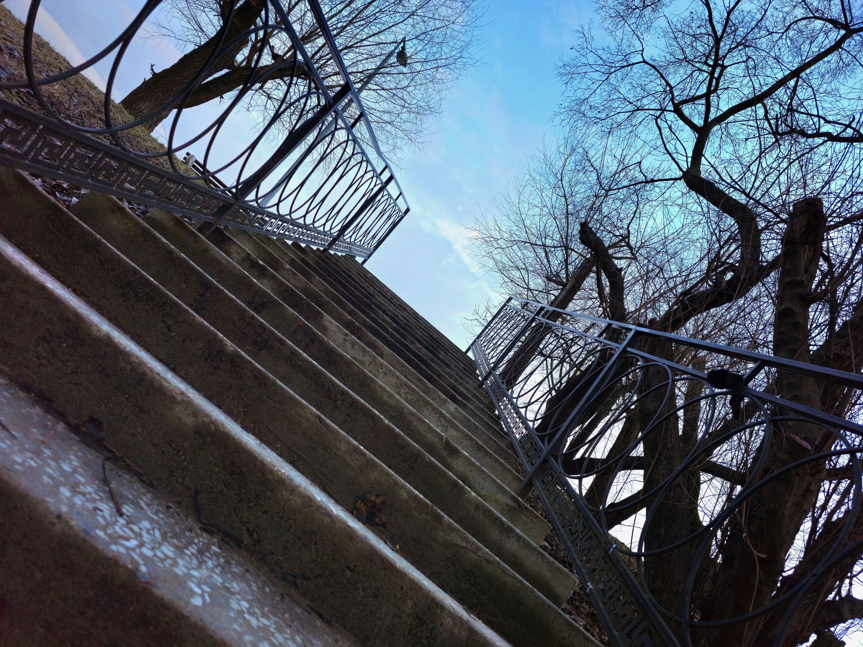 , Мария Яковлева