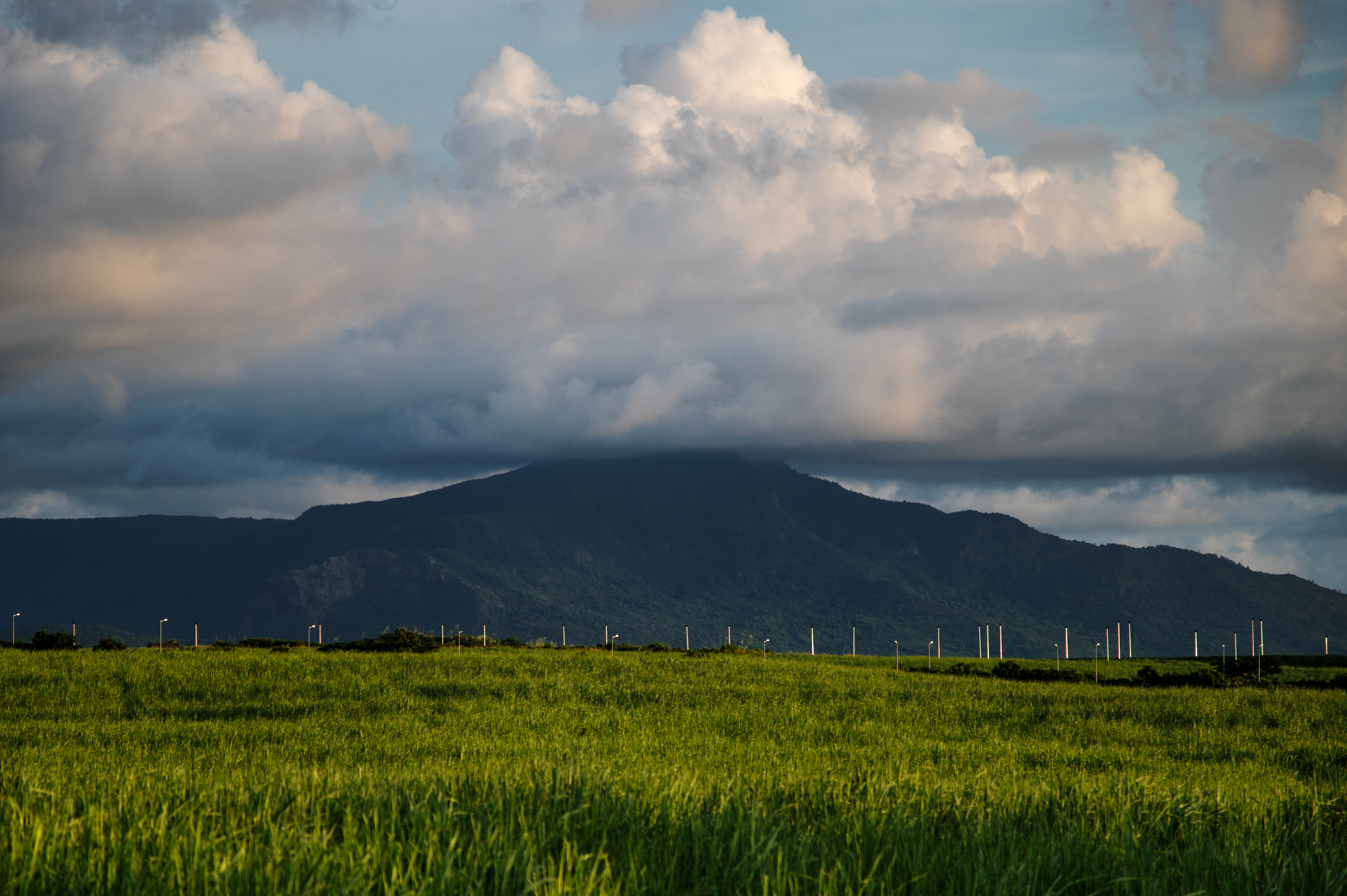 , Роман Князев