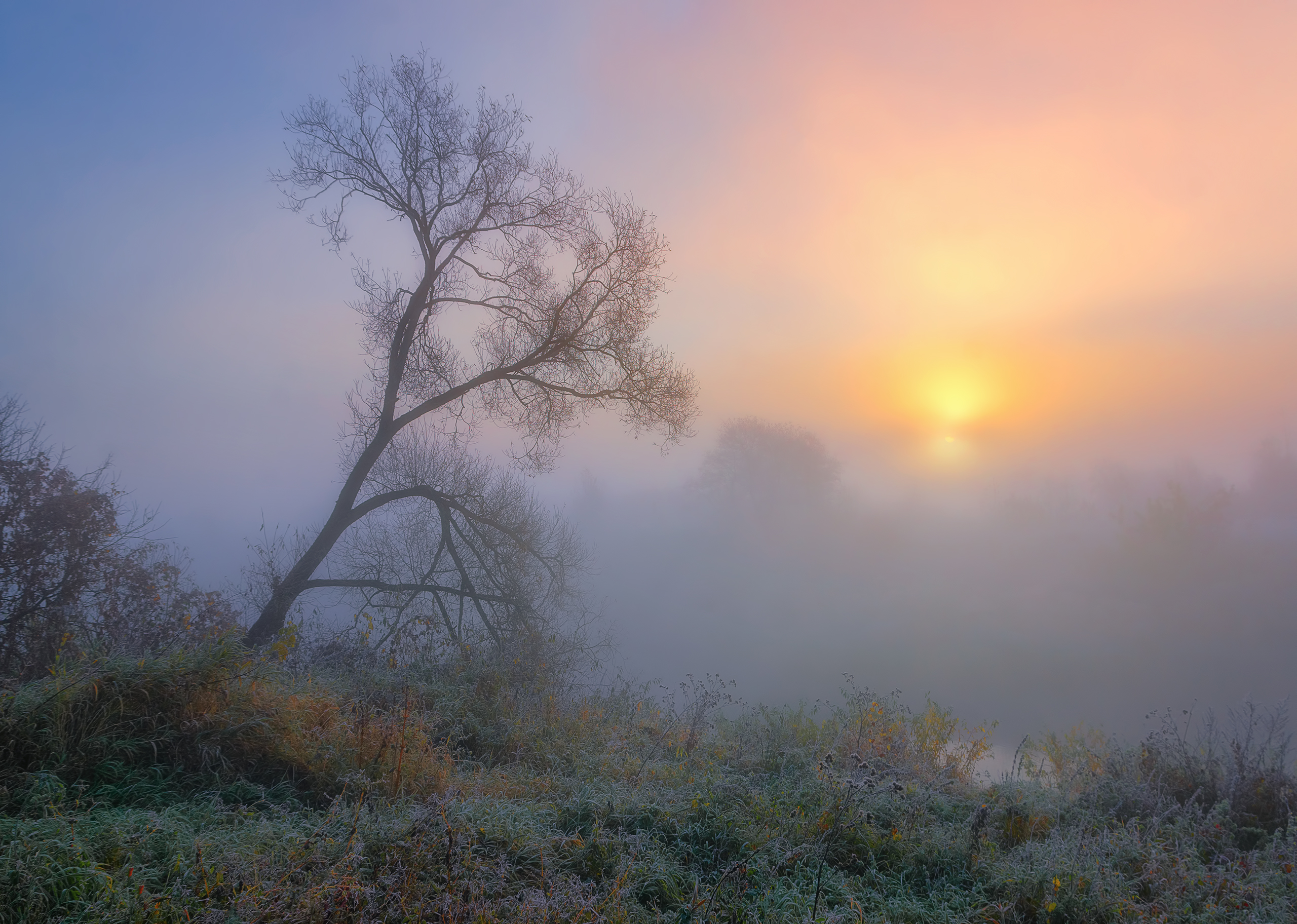 утро рассвет осень туман, Andrew Kuzmin