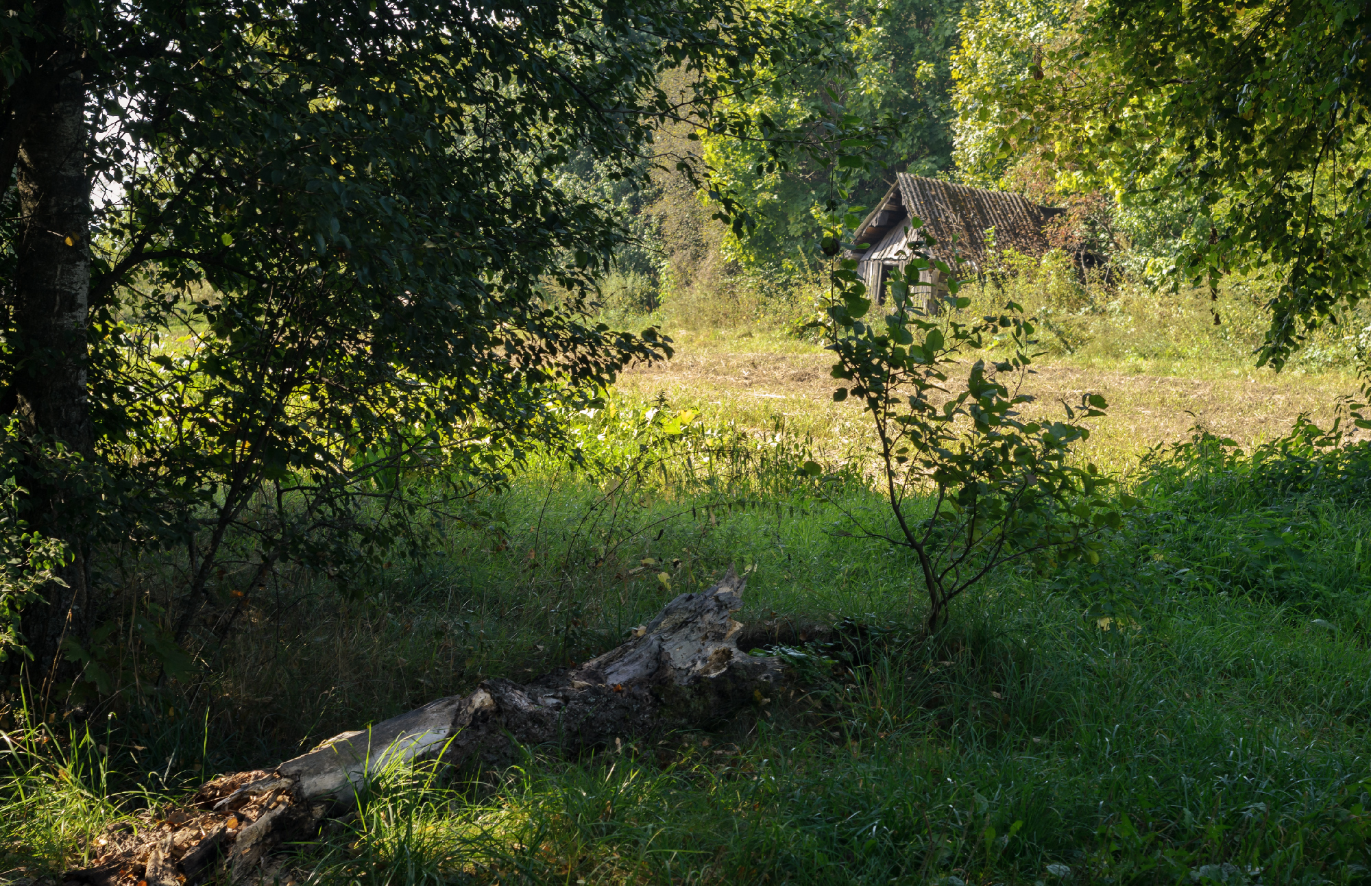 , Лысенко Сергей