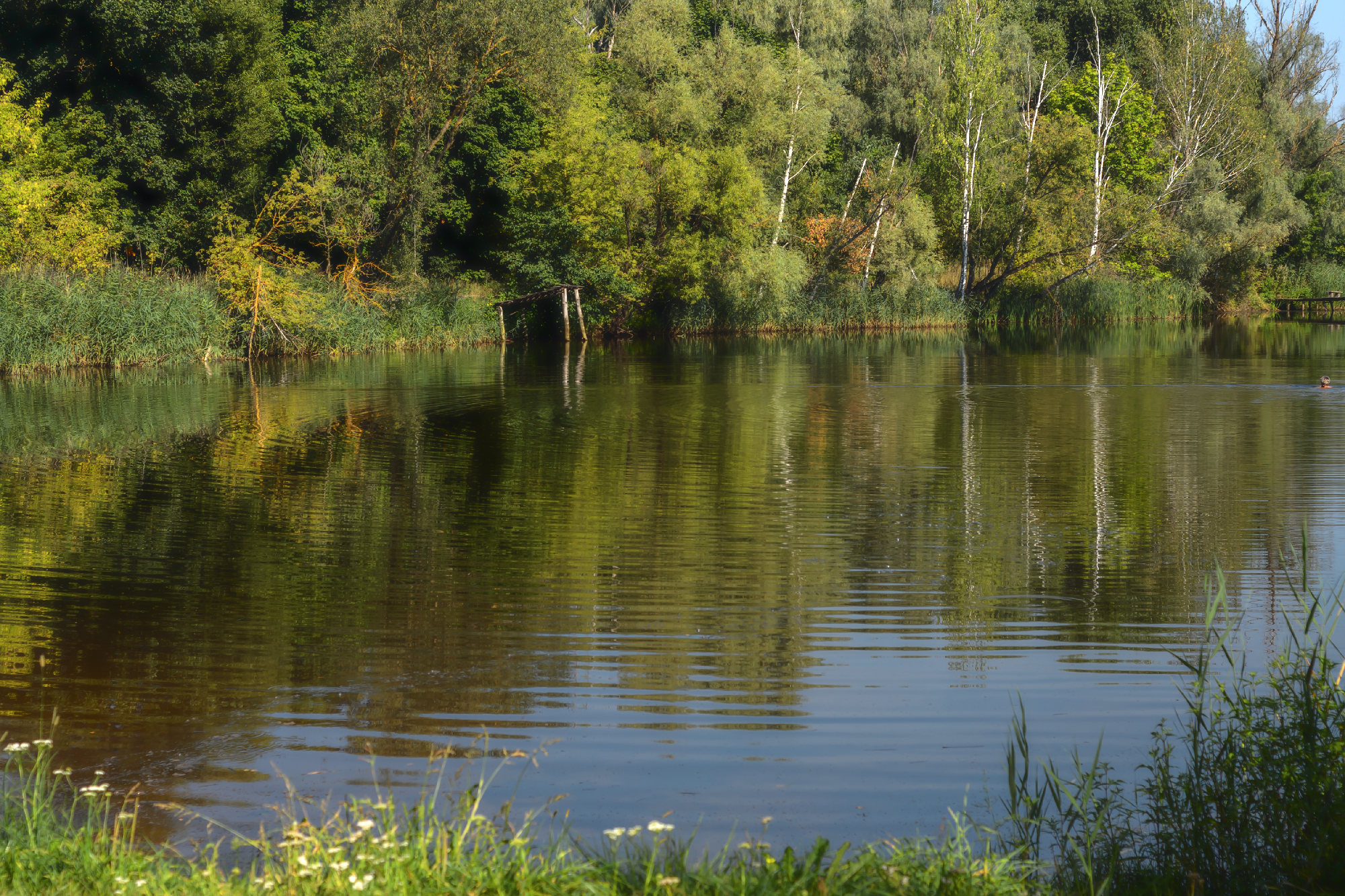 , Лысенко Сергей