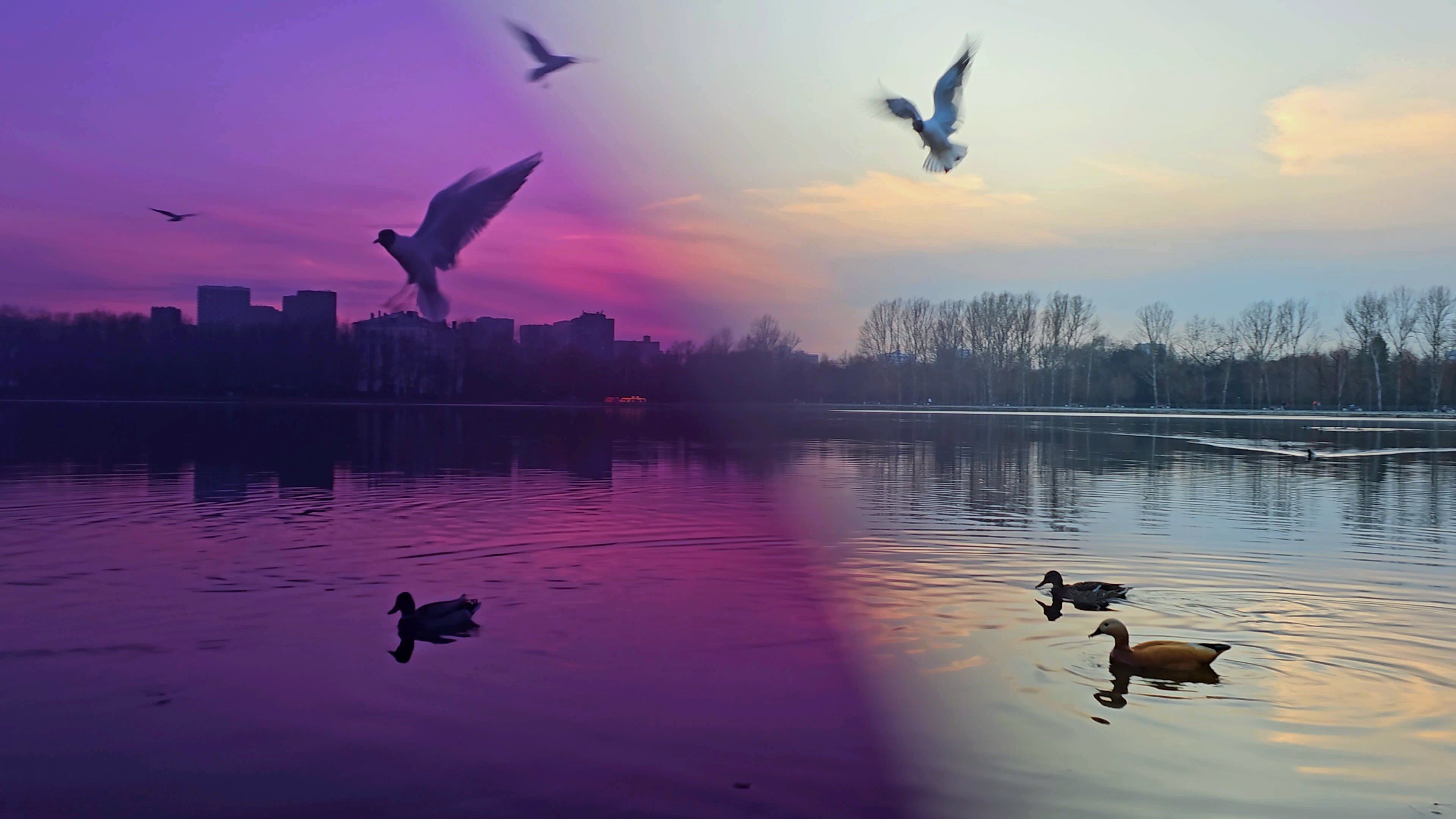 , Мария Яковлева