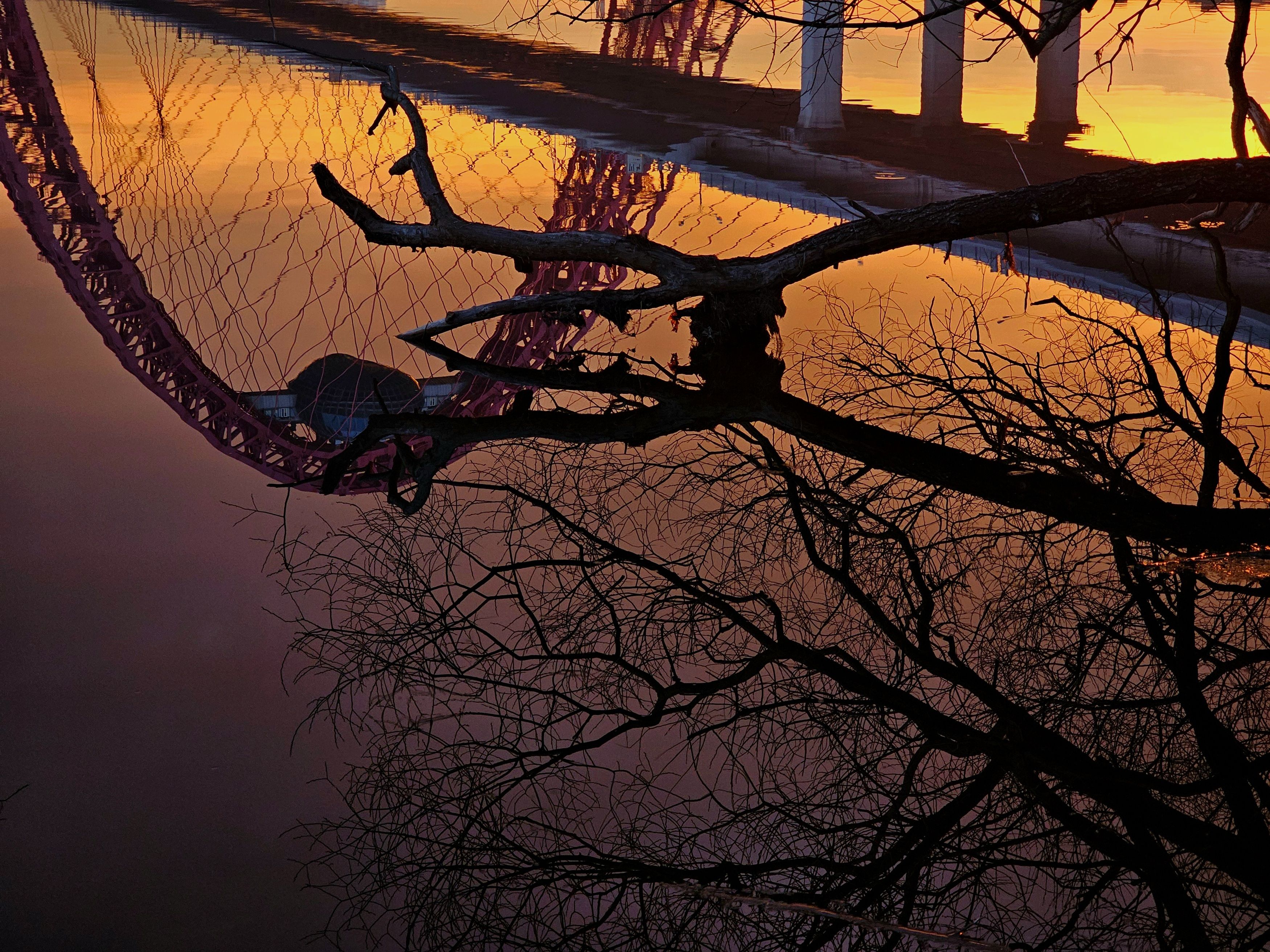 , Мария Яковлева