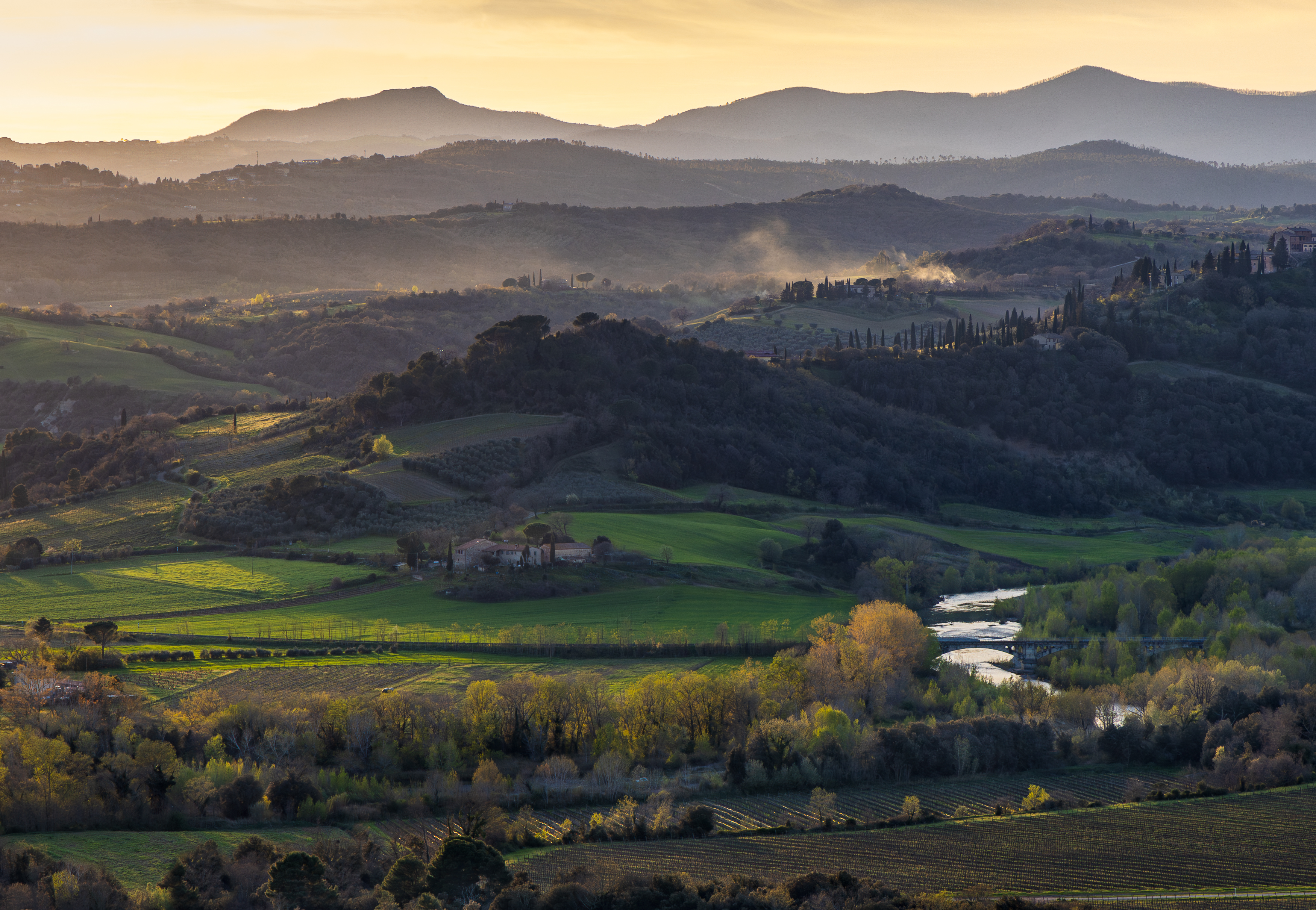 , Алекс Римский