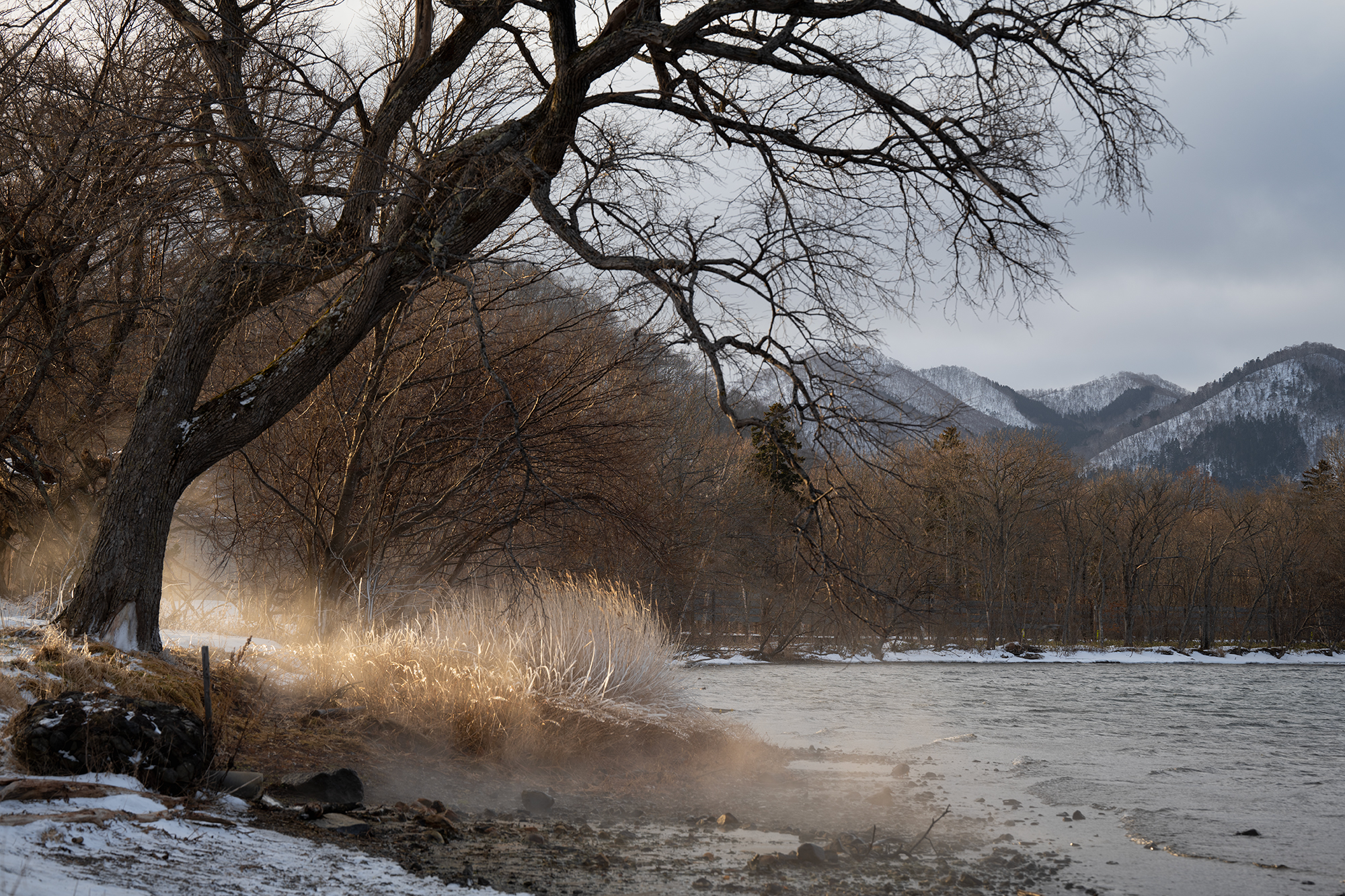 , Vladimir Vorobeychik