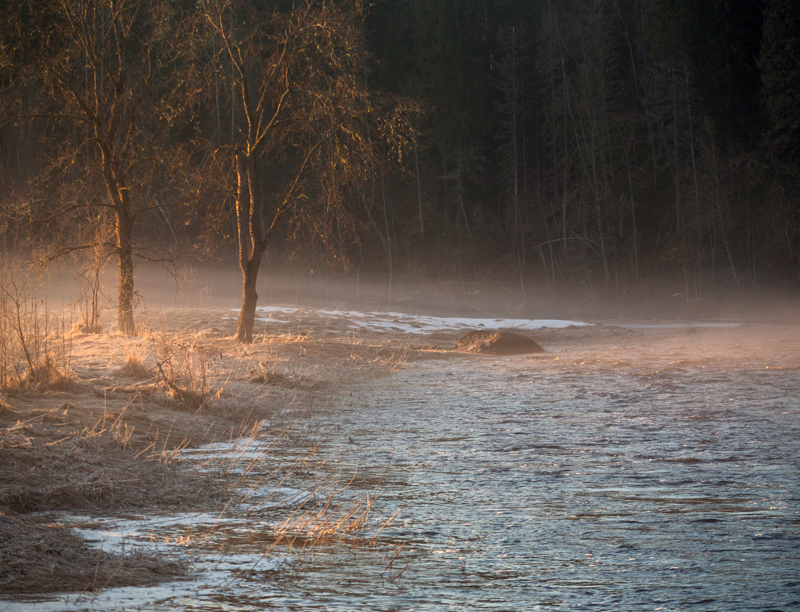 весна, утро, туман, морозе, река, север, ленинградская область, природа, Павел Ващенков