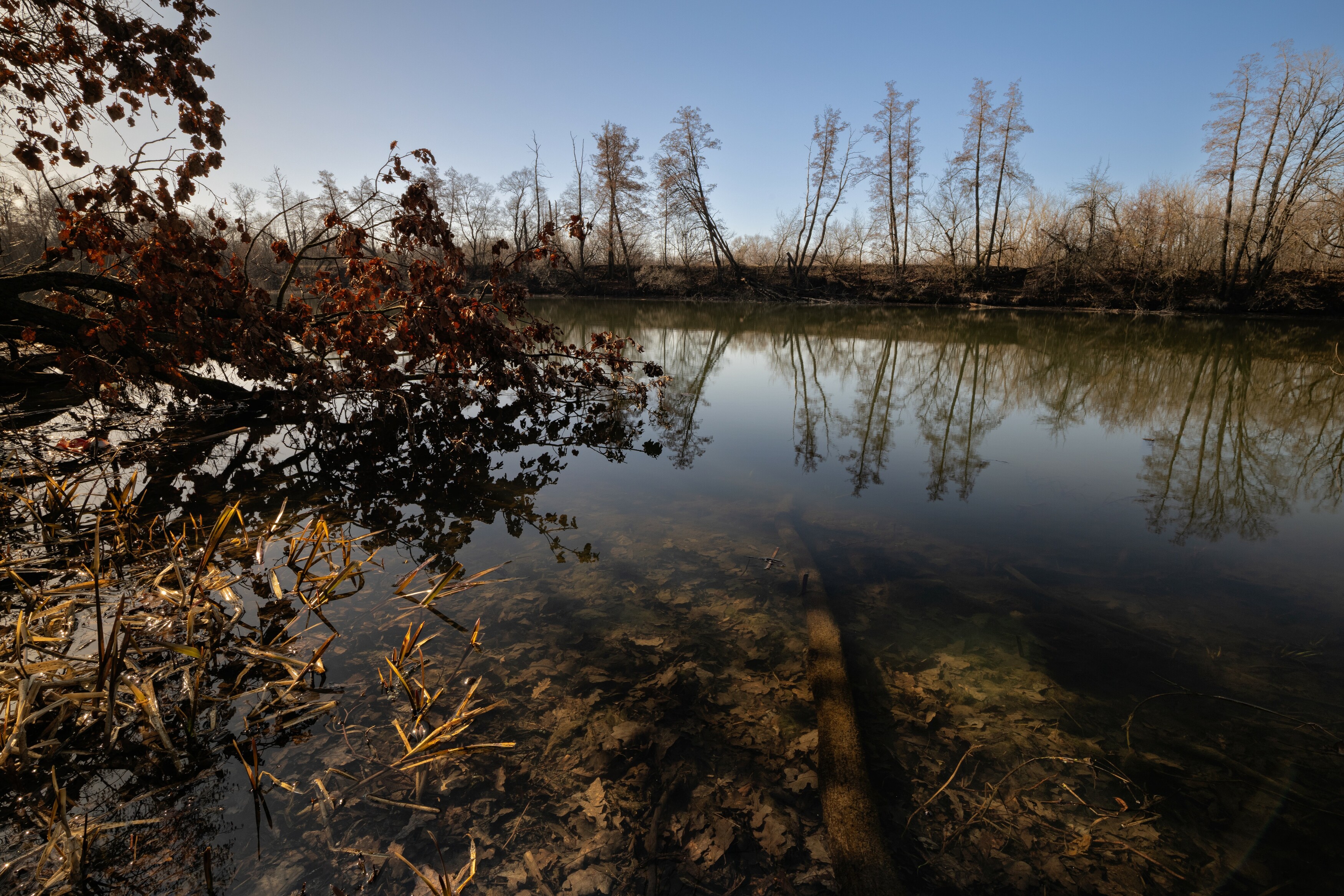 , Александр Бредихин