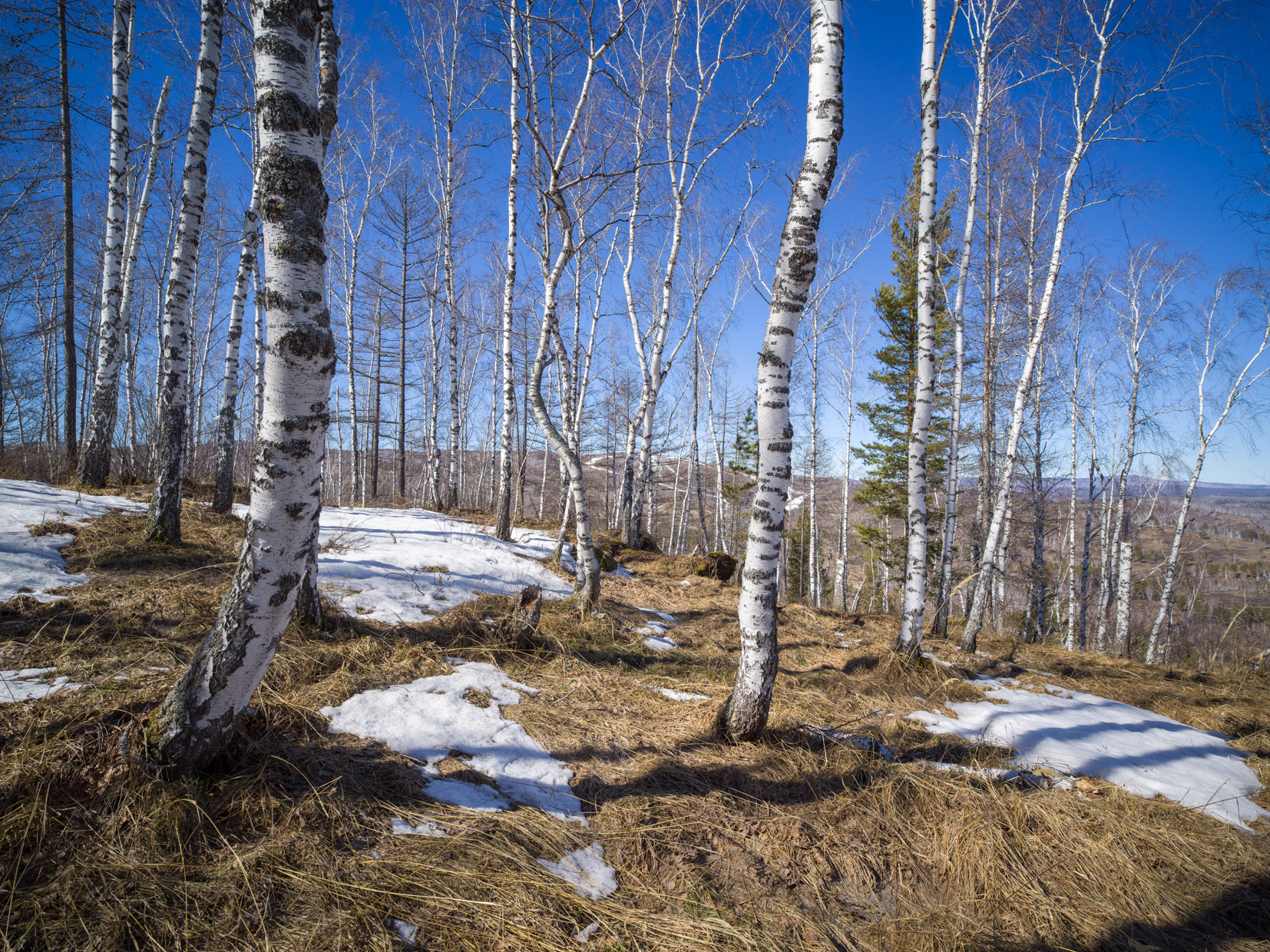 , Шустиков Дмитрий