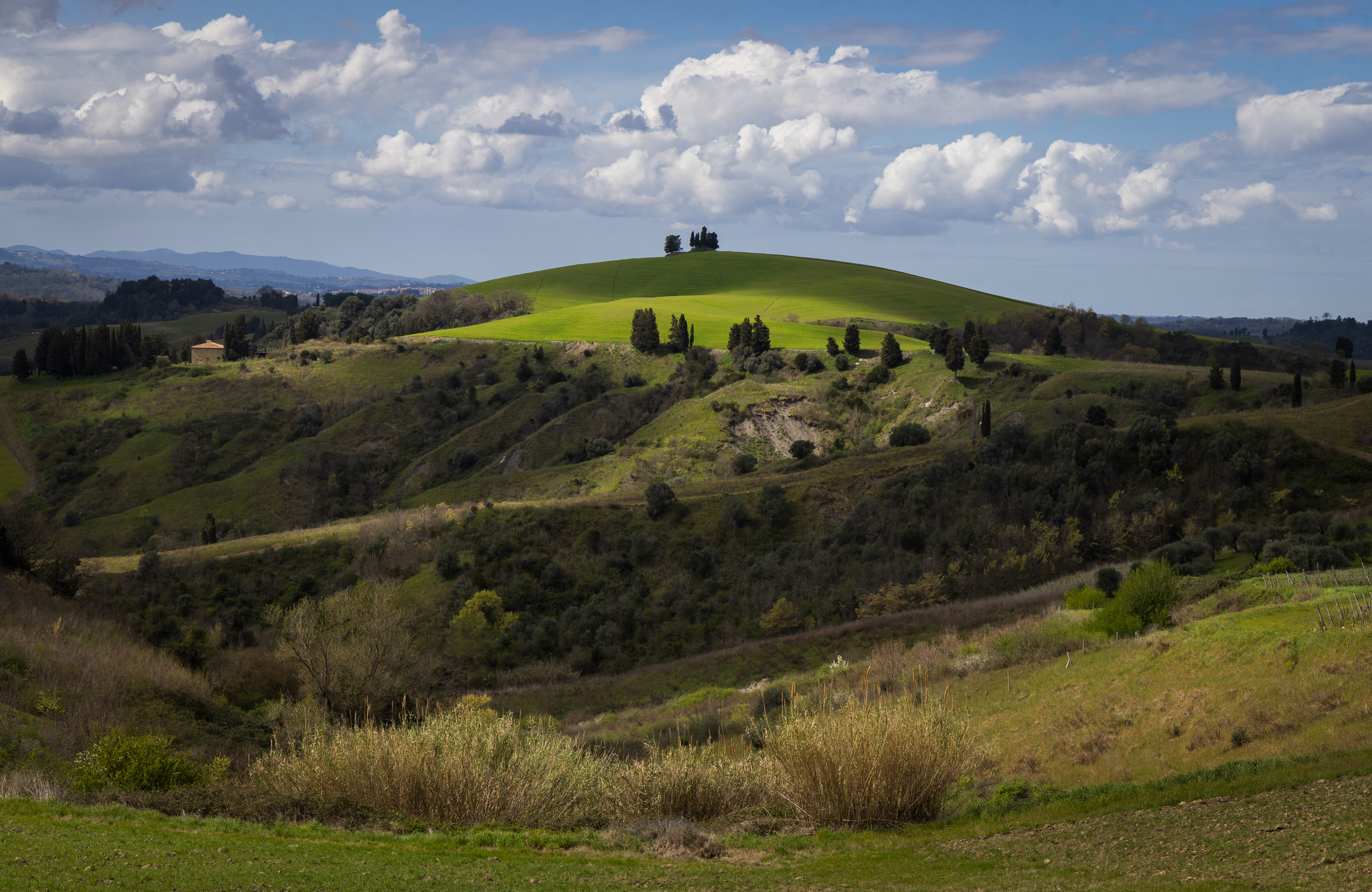 , Алекс Римский