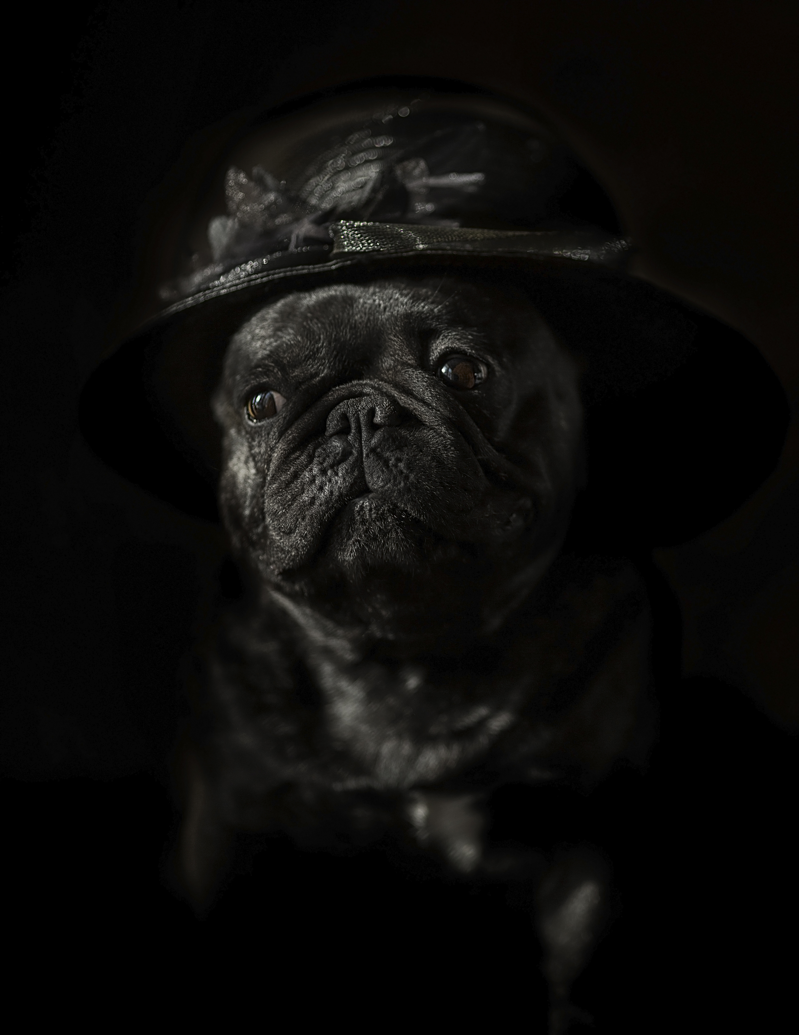 , Софронова Ольга