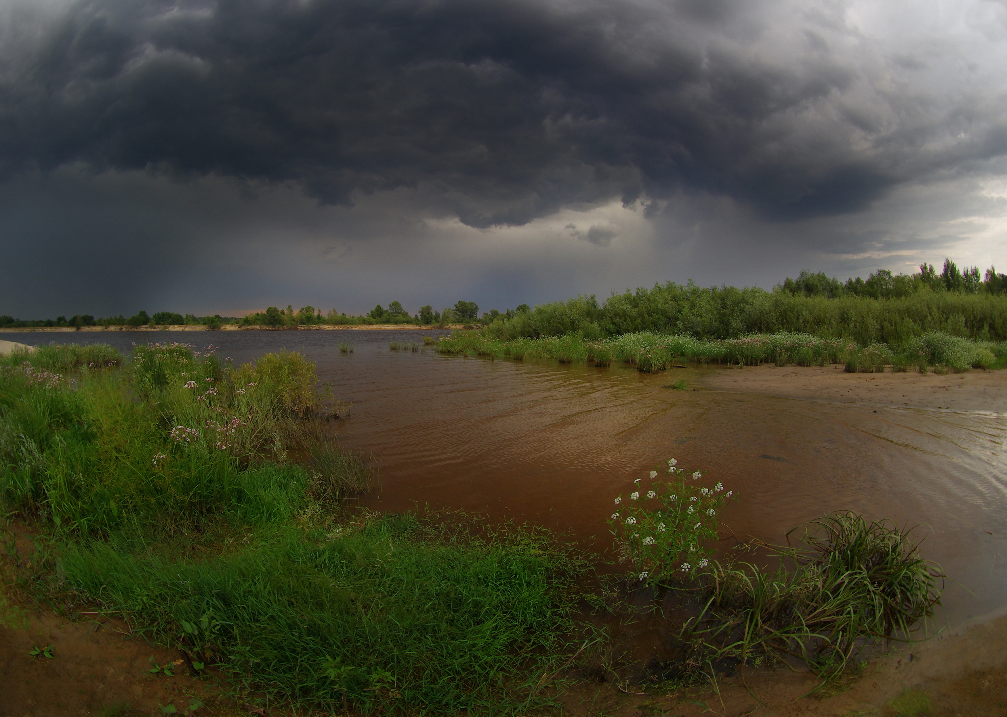 , Шляга Сергей