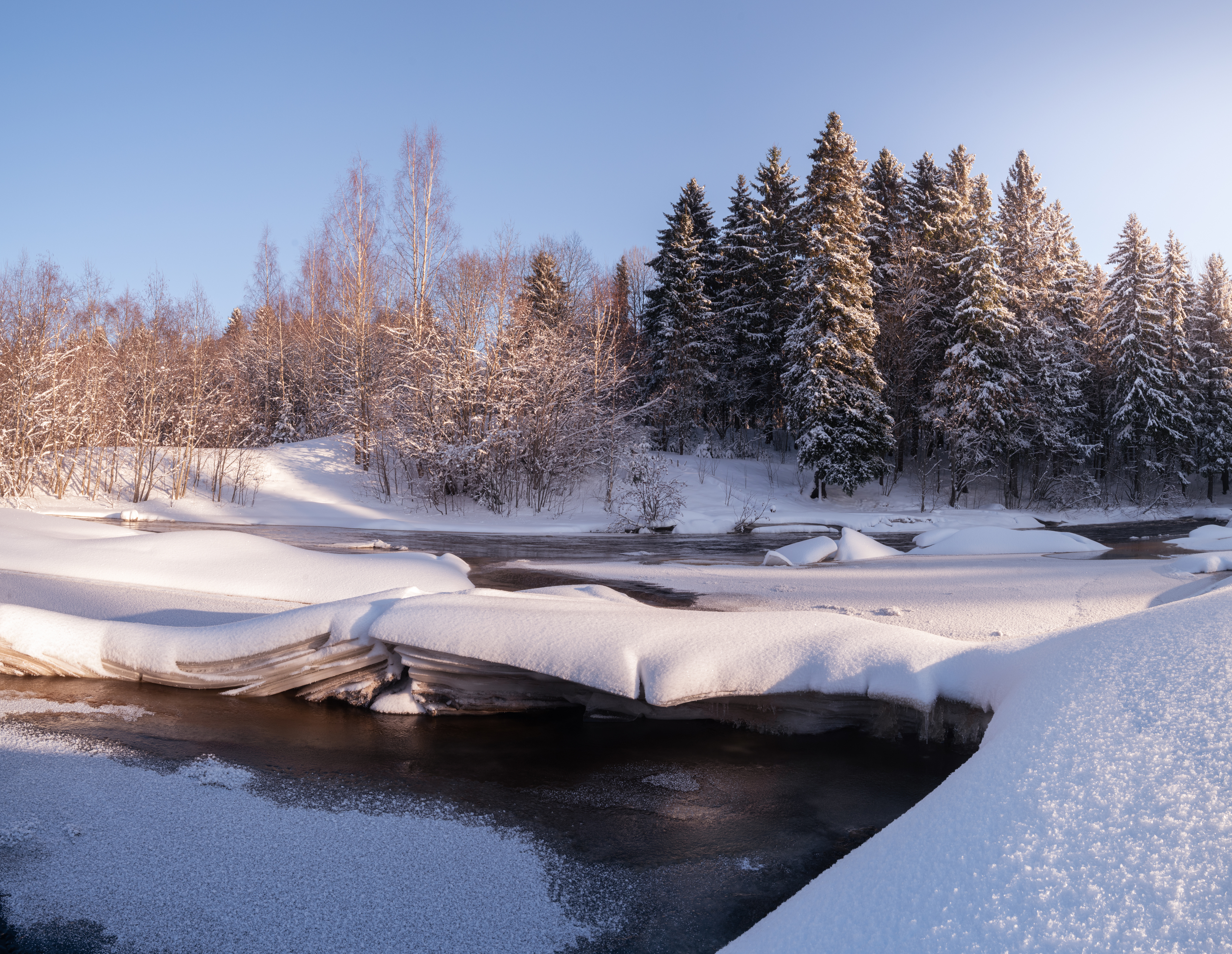 , Кузнецов Семён