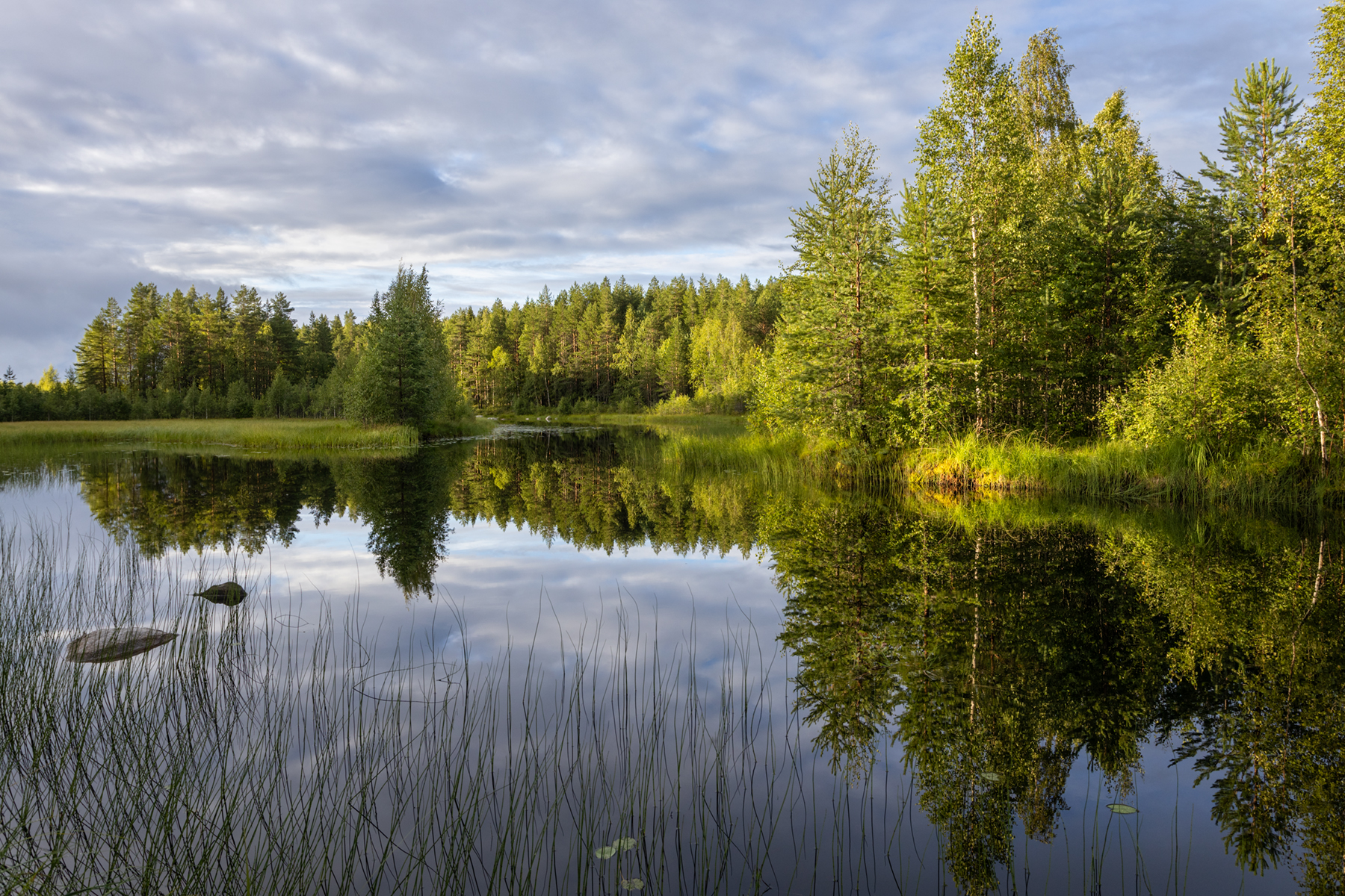 Карелия, Светлана Грянкина