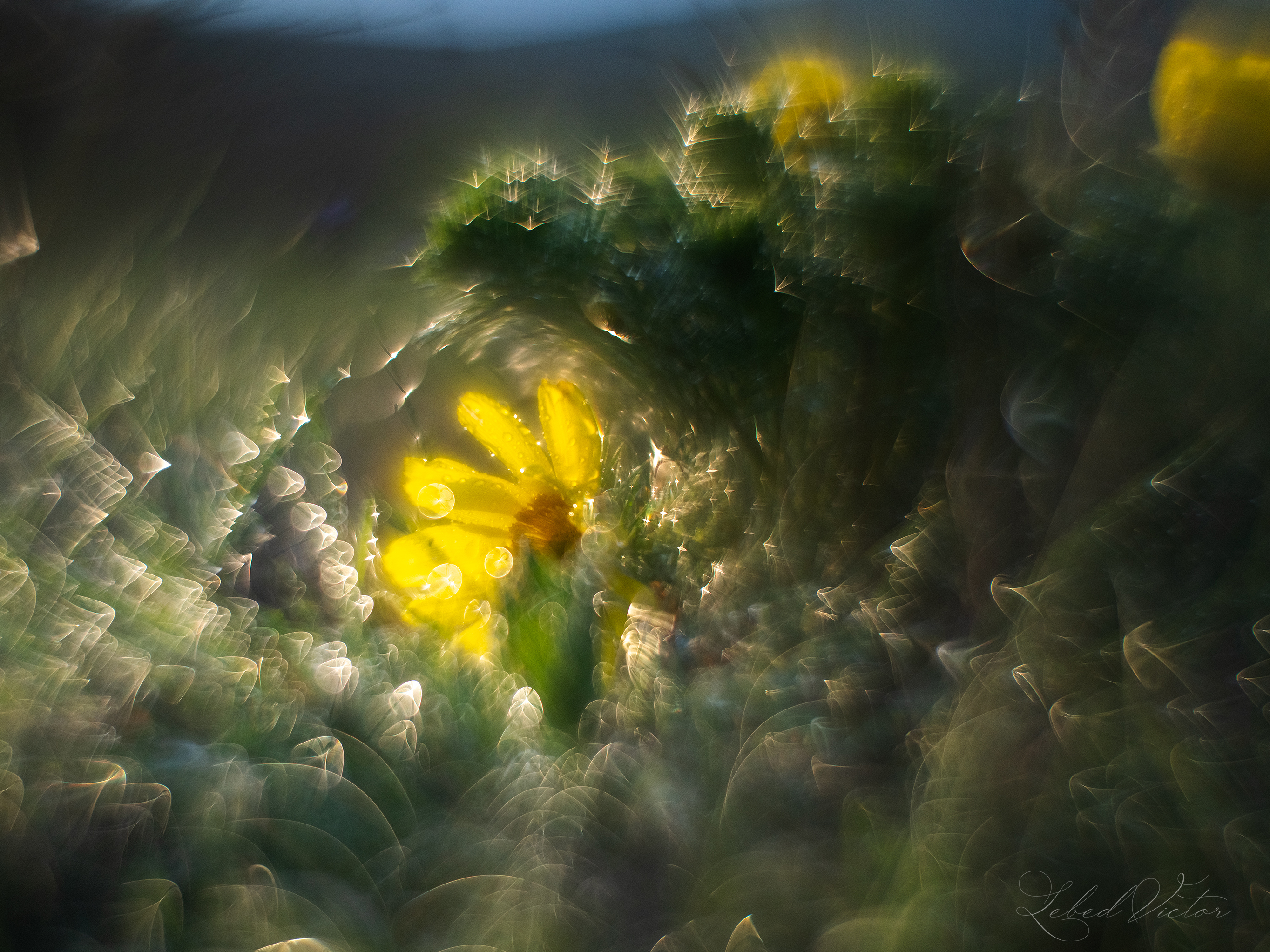 , Виктор Лебедь