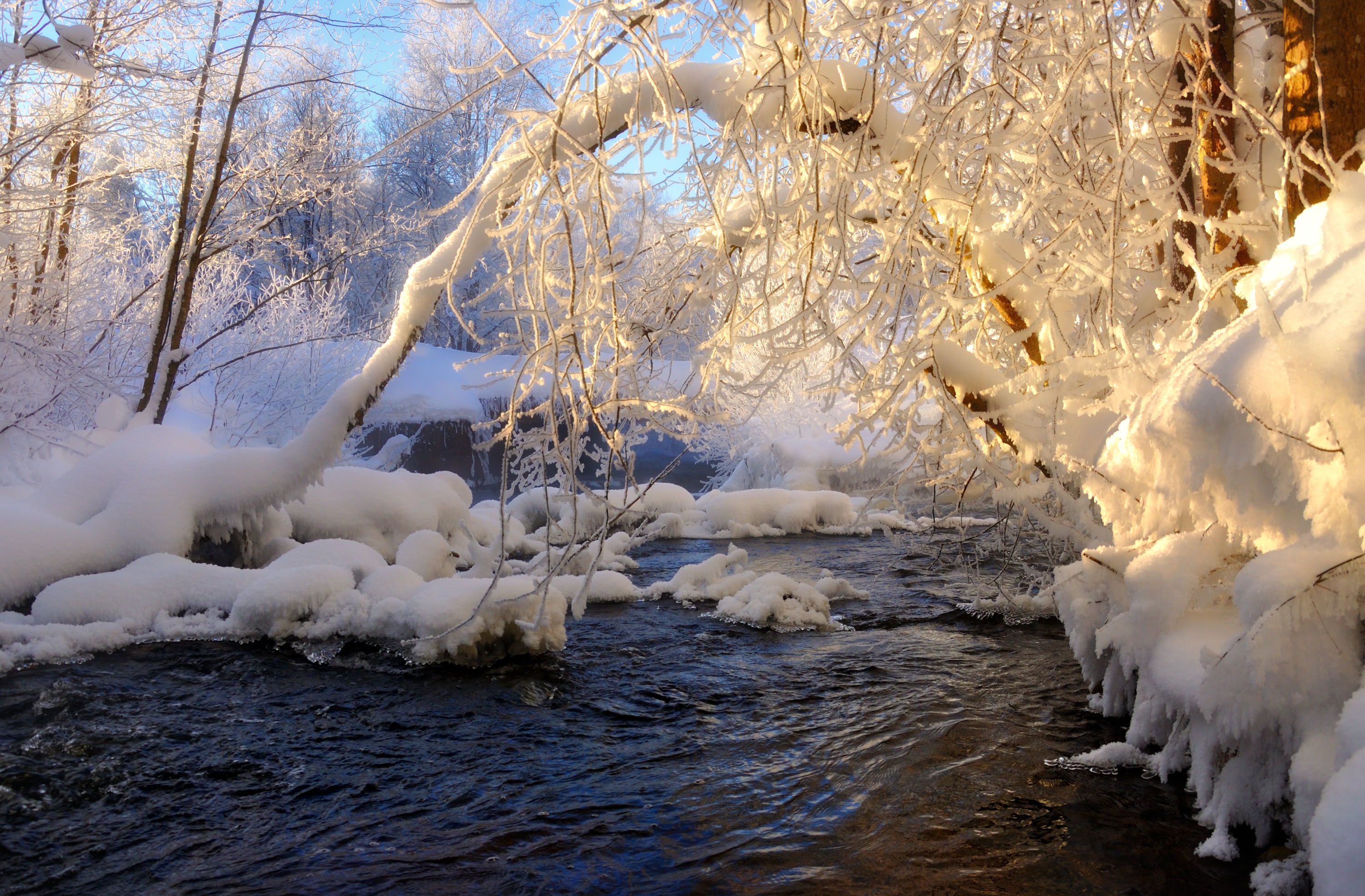 , Куликов Андрей