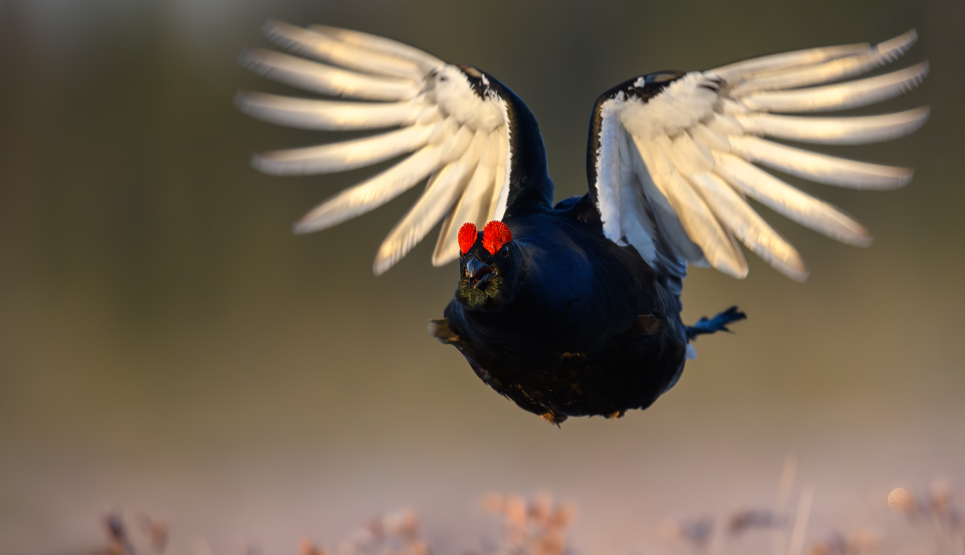 , Калинин Михаил