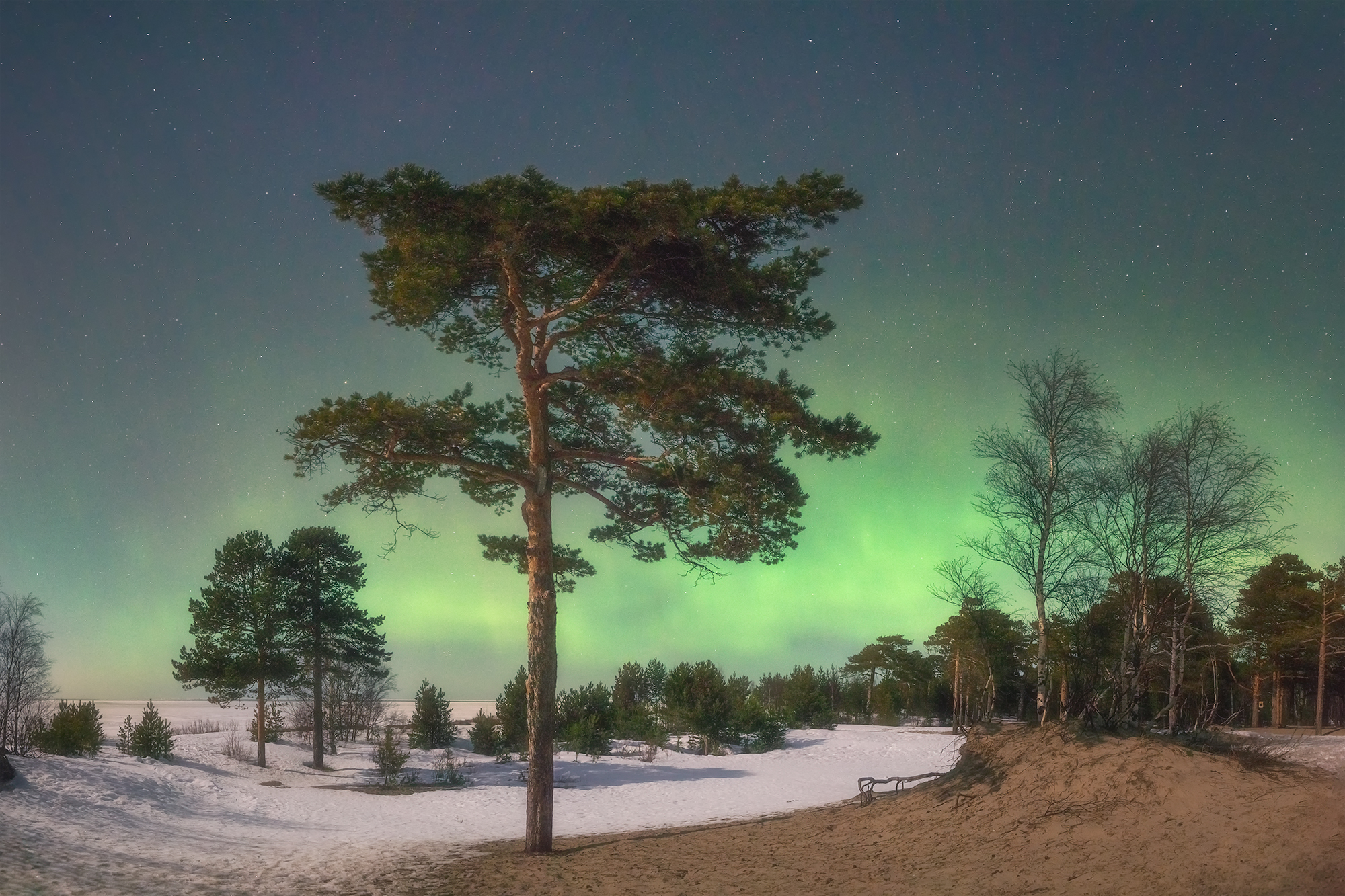 , Александр Ермолин
