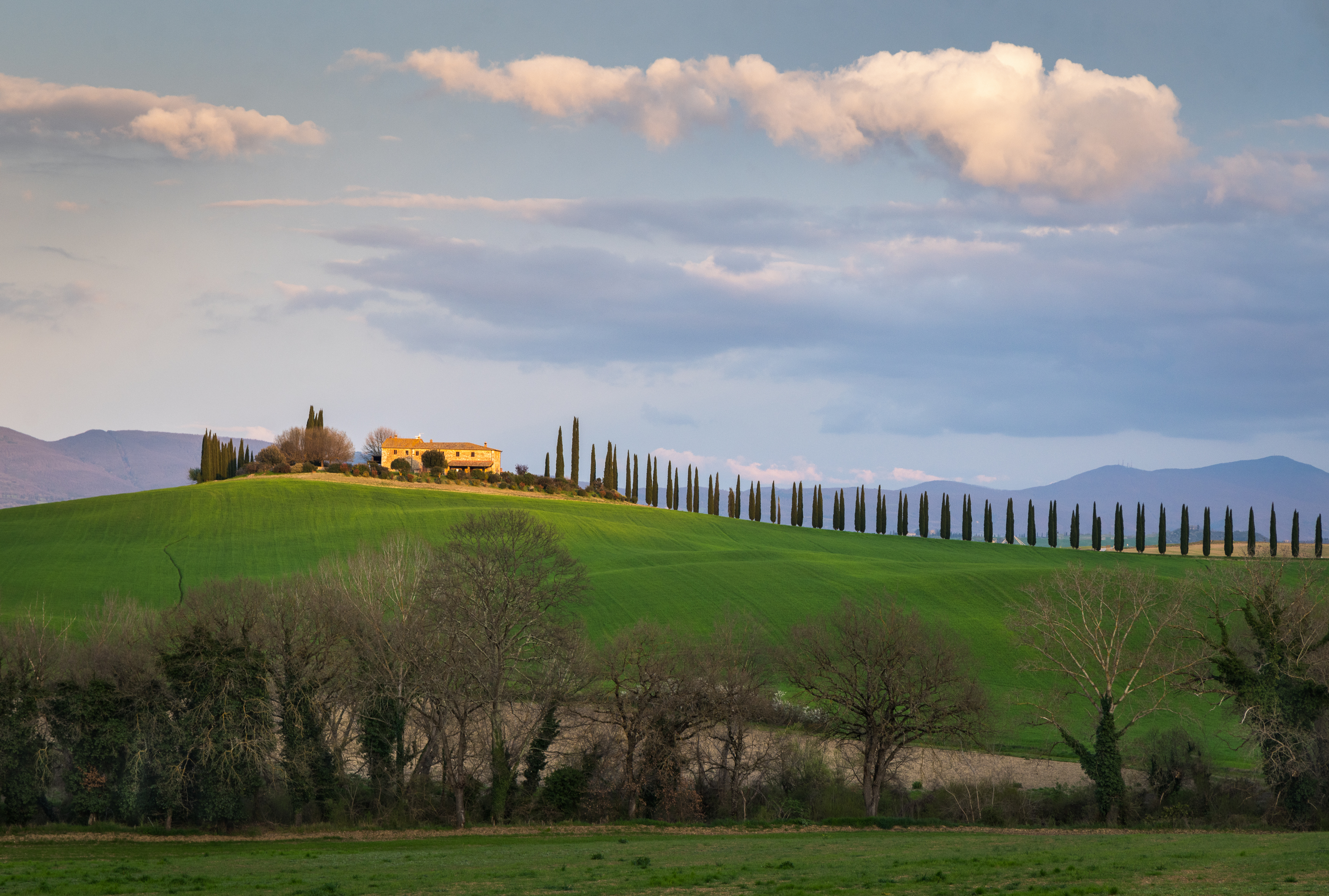 , Алекс Римский