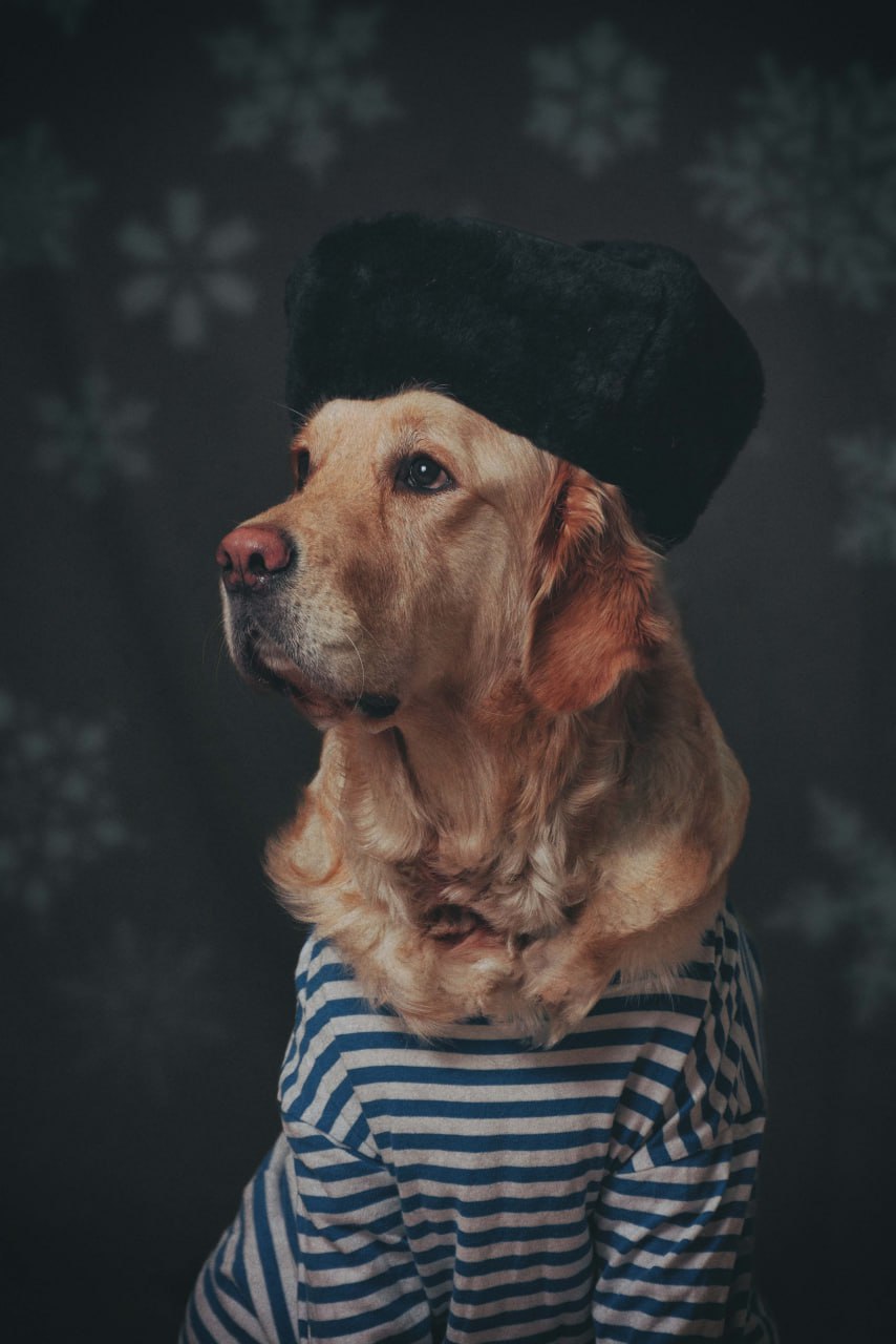 , Рыбаков Илья