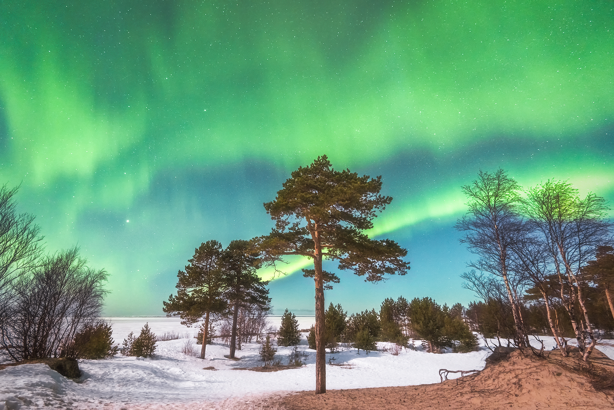 , Александр Ермолин