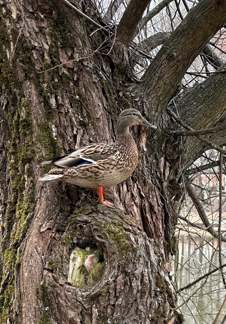 , Бувин Юрий