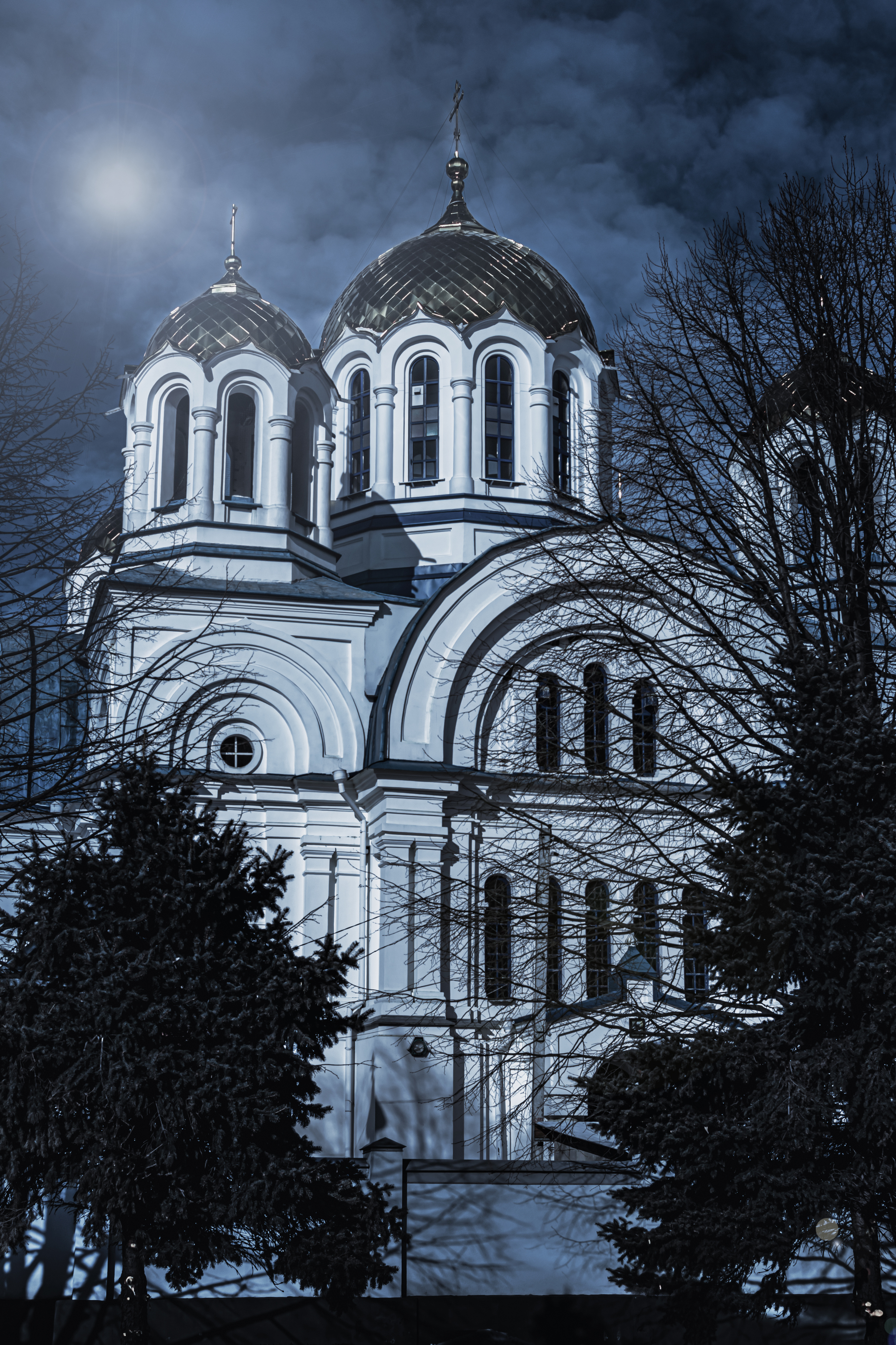 , Багриновская Наталия