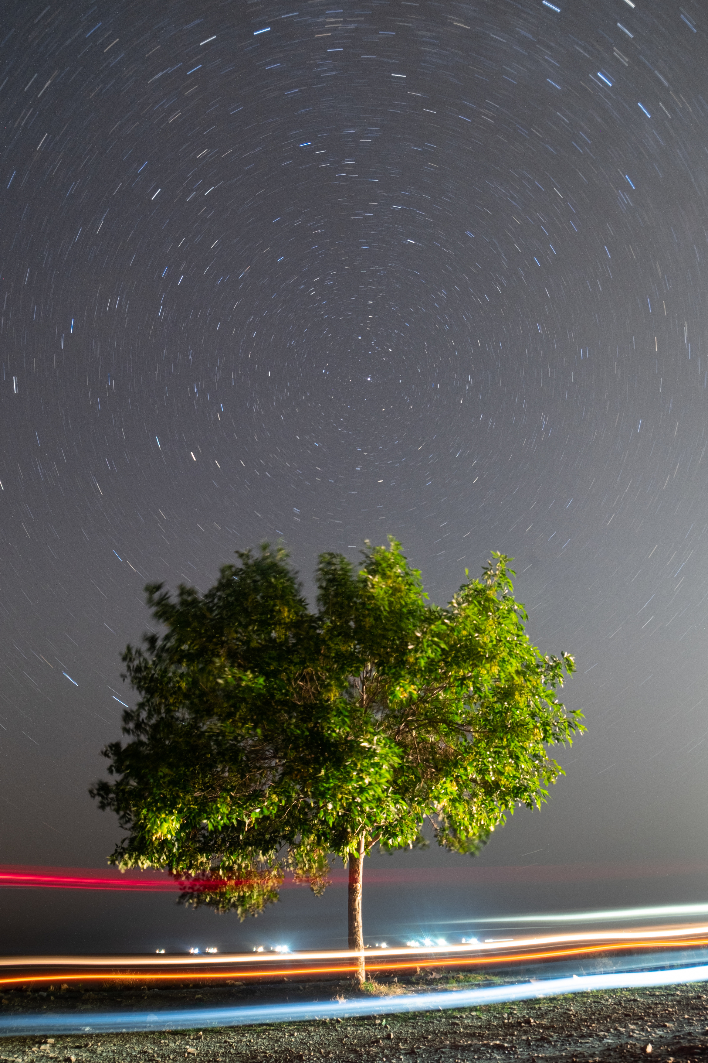 дерево, астрофото, длинная выдержка, Soul