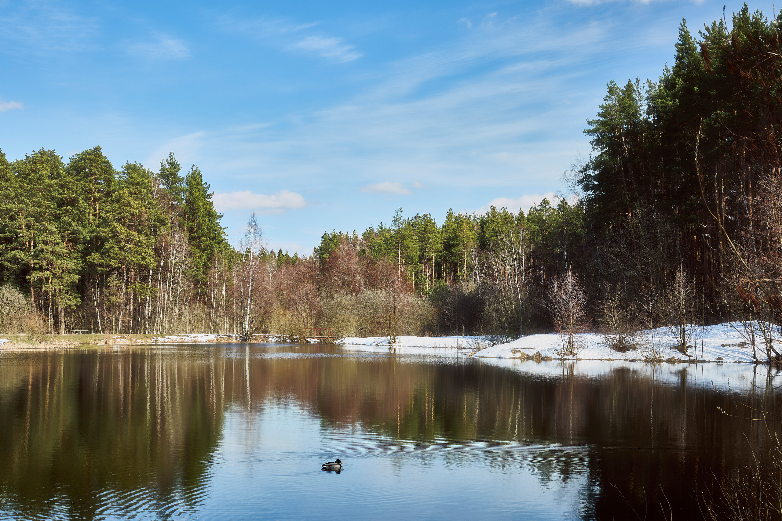 лес, озеро, отражения, весна, Валерий Вождаев