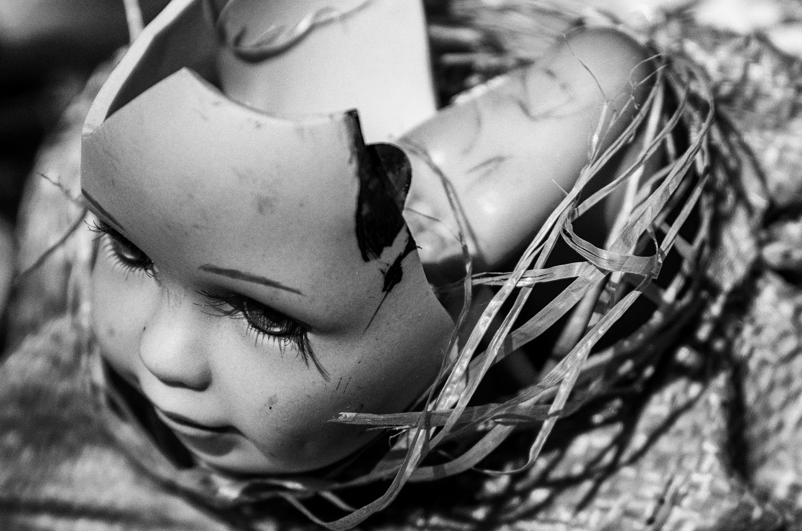 , Евгений Верещагин