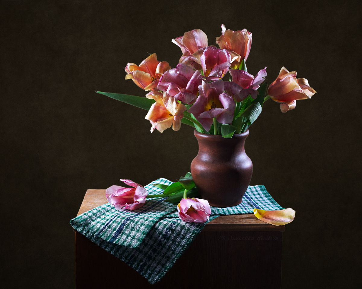 , Анжелика Королева