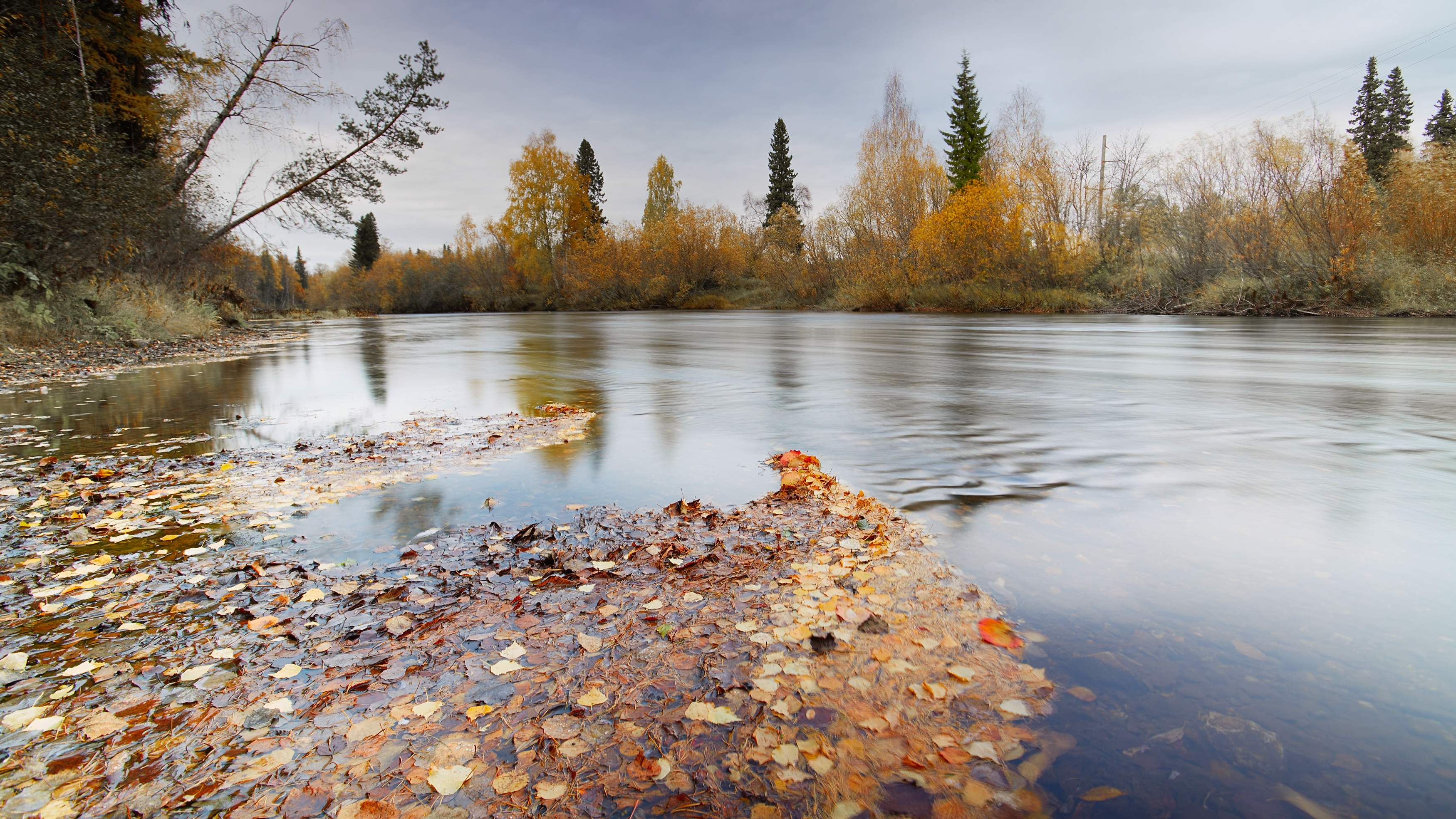 , Лисаускас Илья