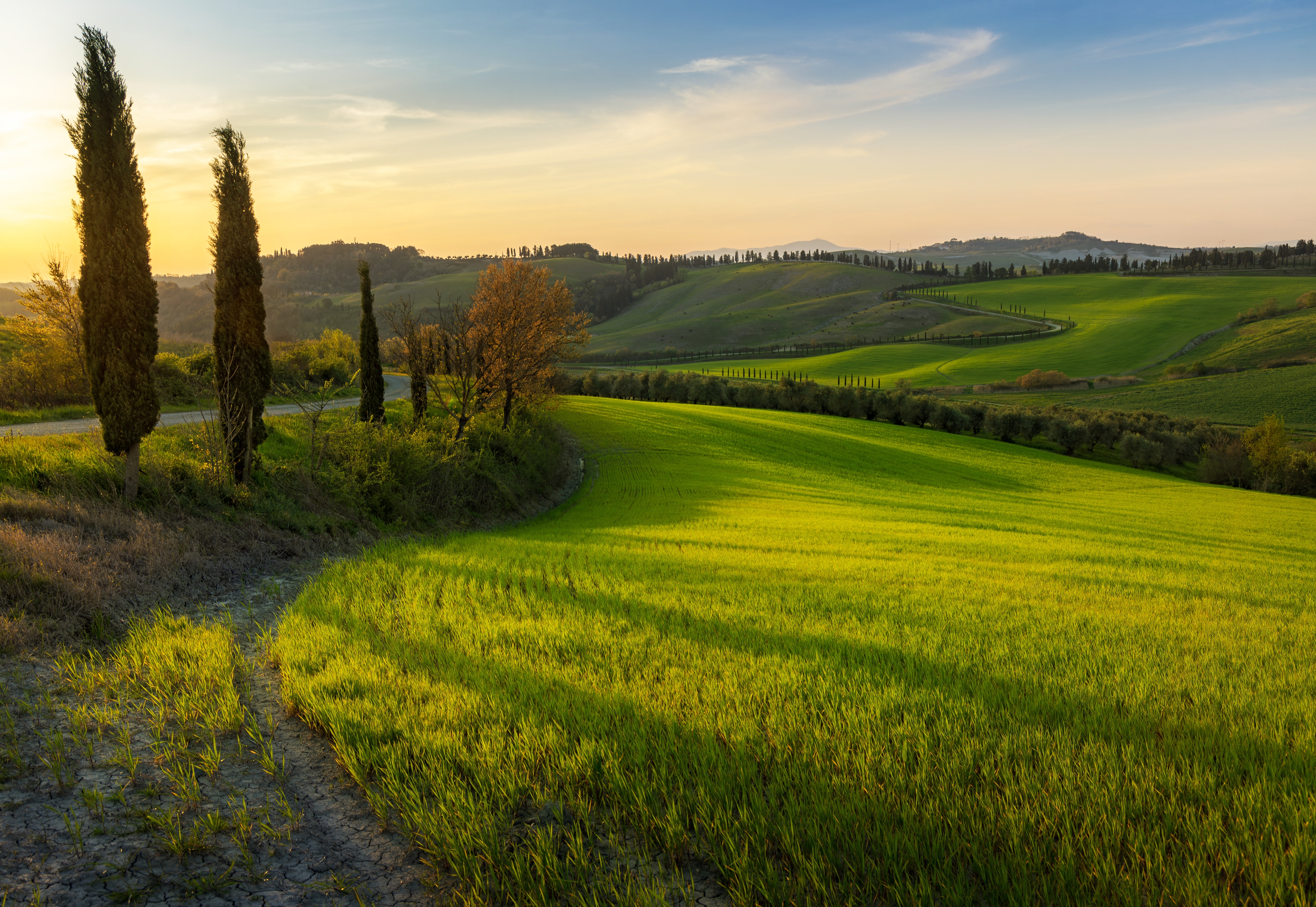 , Алекс Римский