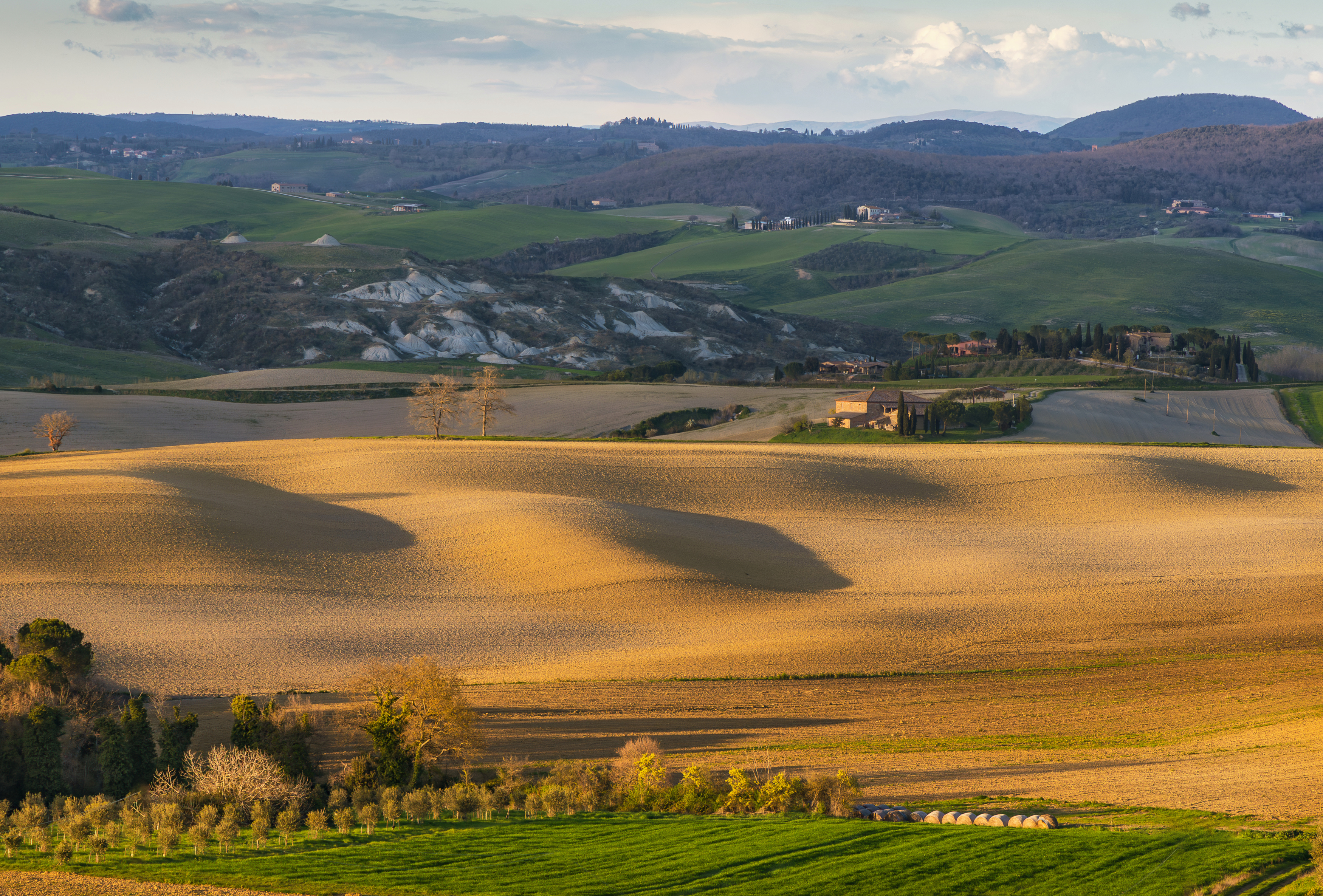 , Алекс Римский