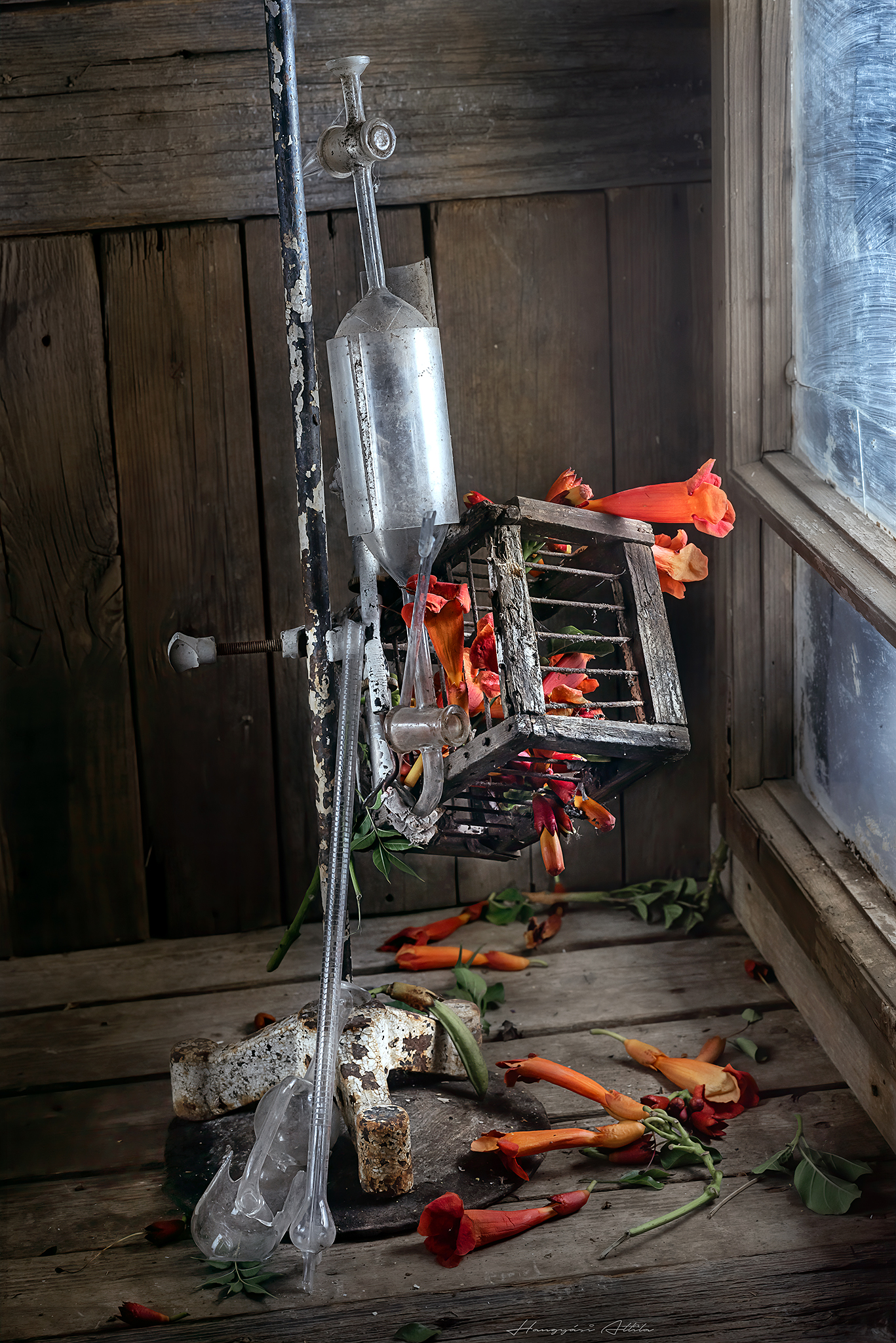 still life, kémia, kisérlet, kémcső, pipetta, virág, enyészet, beteség, Hangyasi Attila