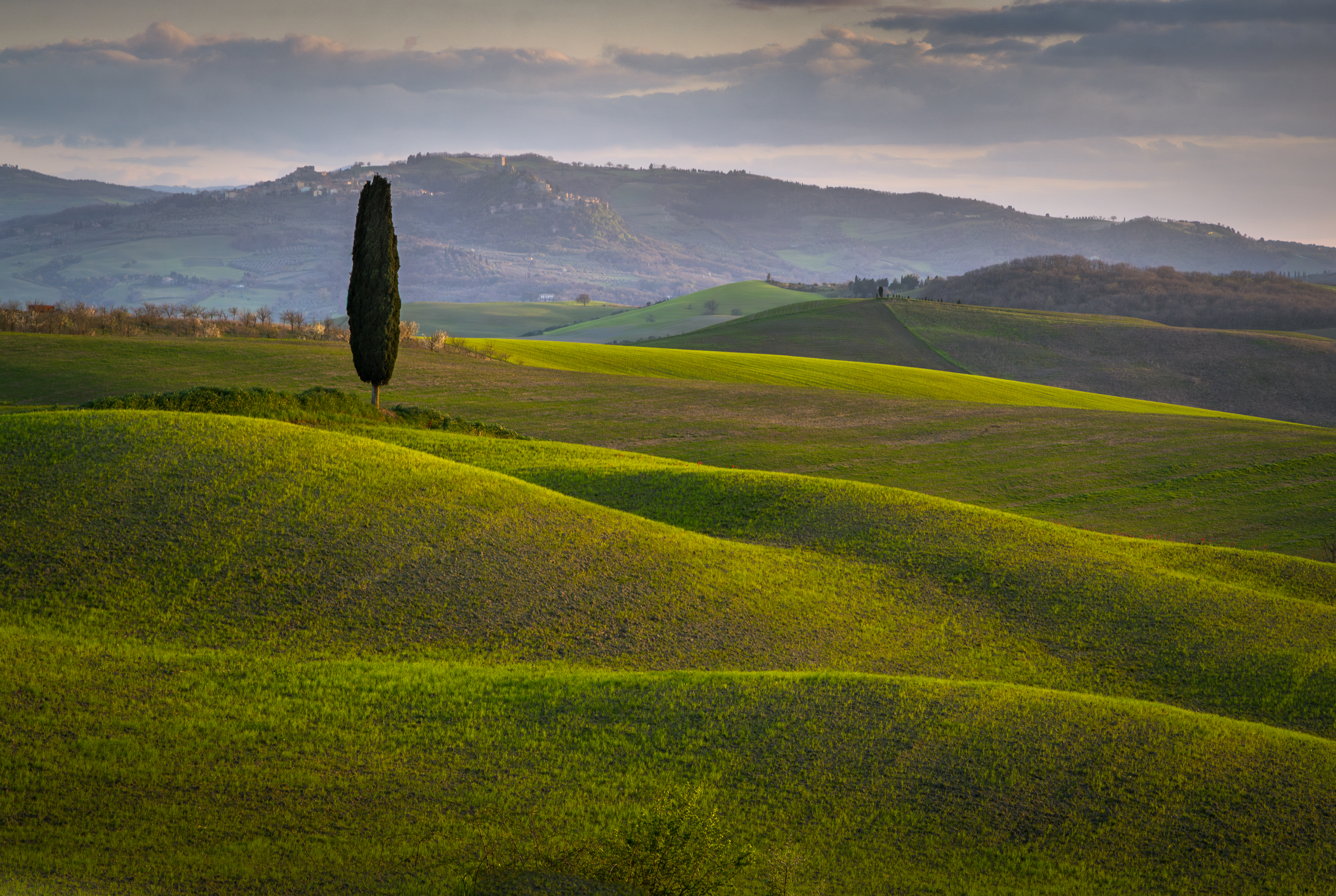 , Алекс Римский