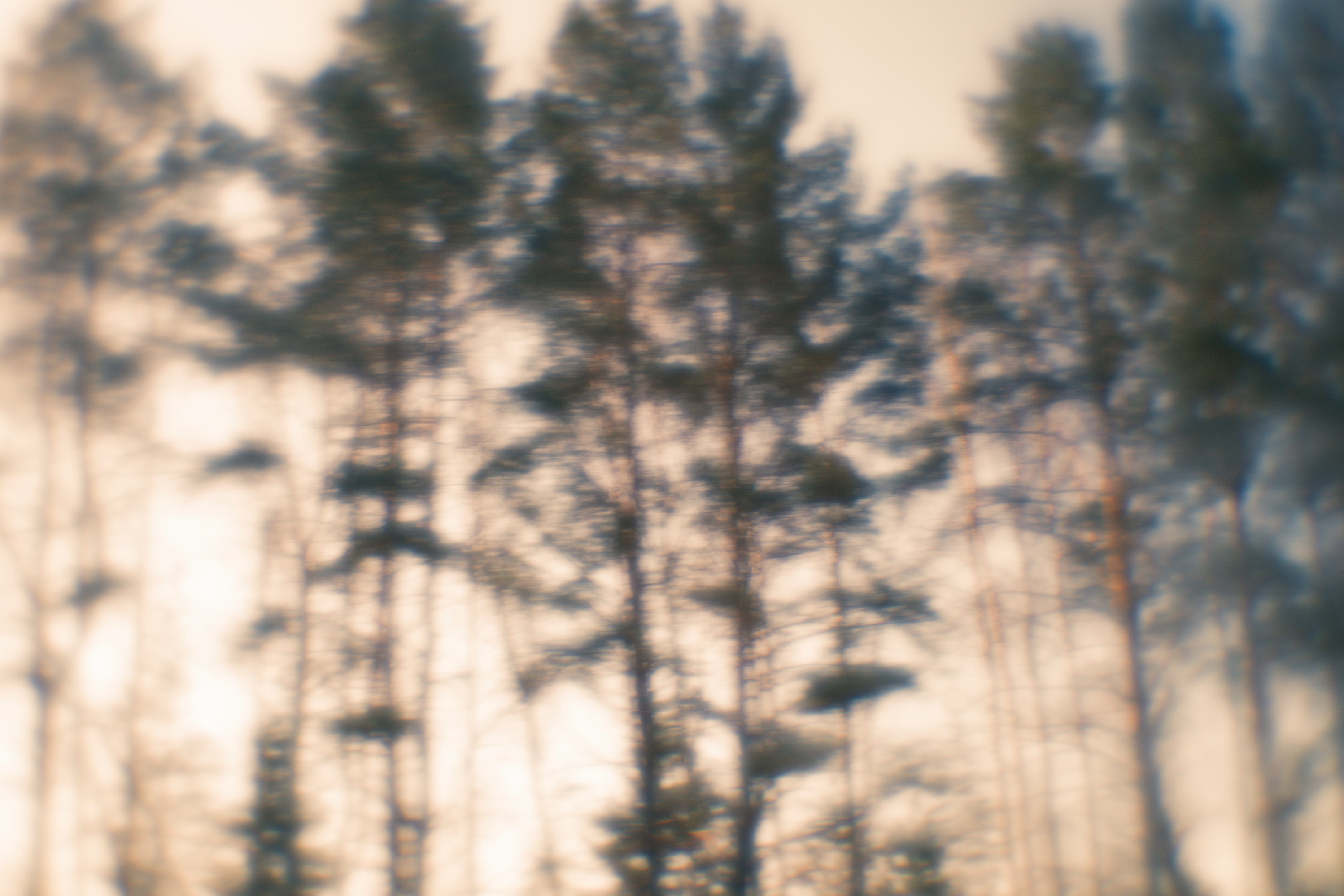 , Таня Смолевская