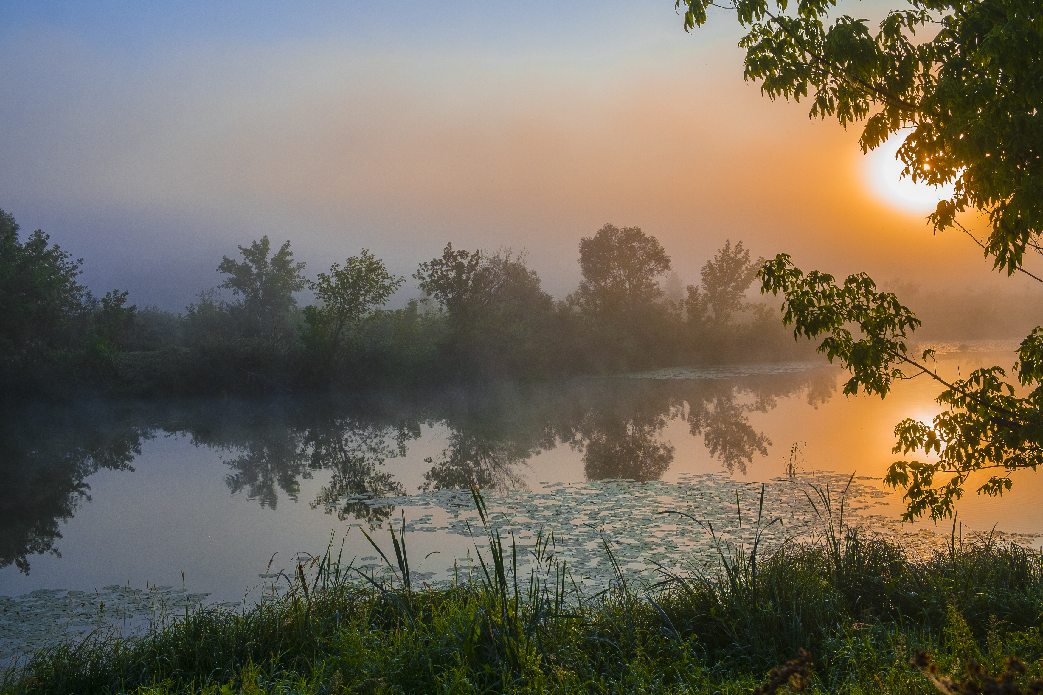 лето озеро рассвет туман природа пейзаж, Александр Строков