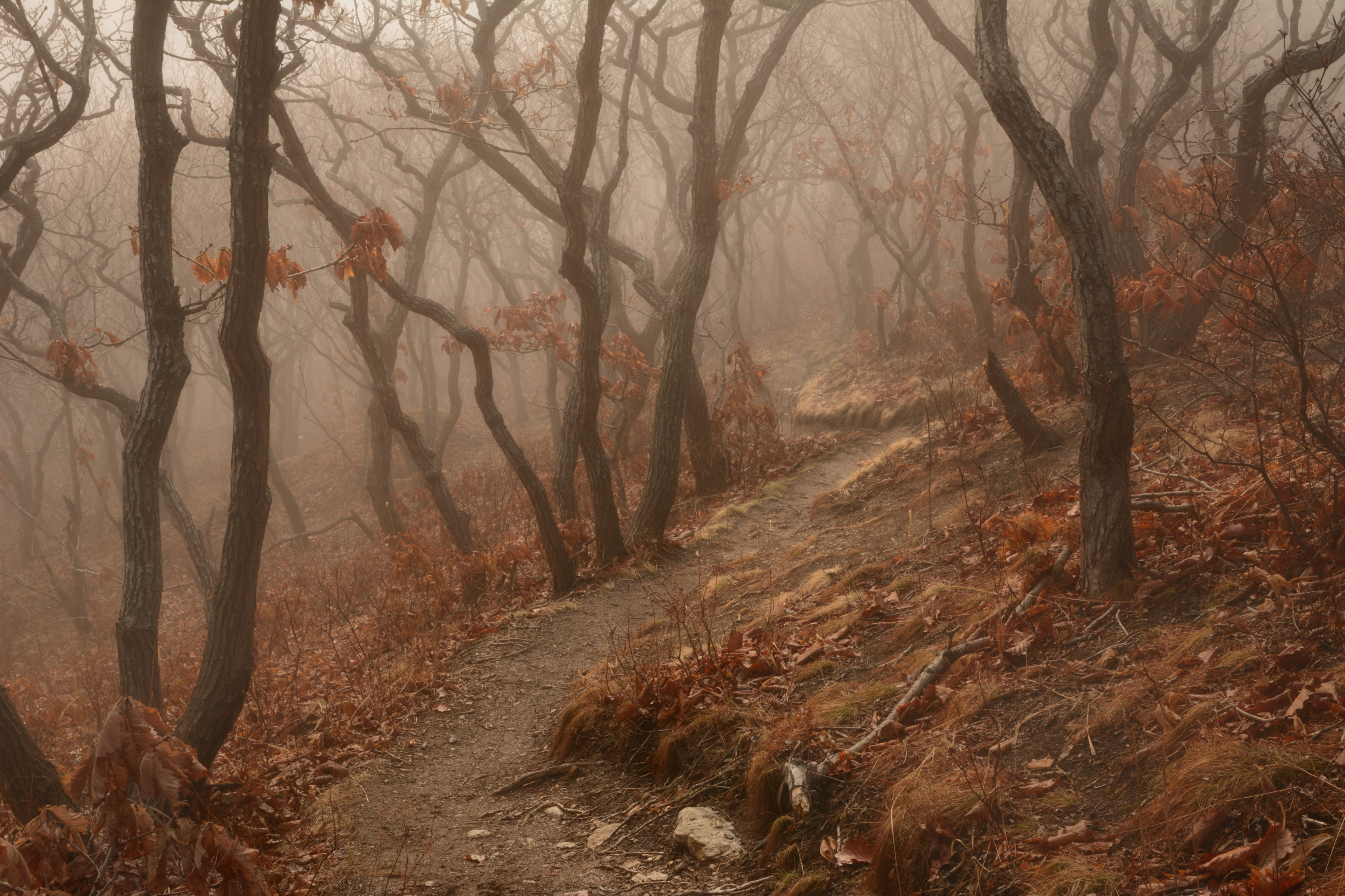 приморье, Едуш Сергей