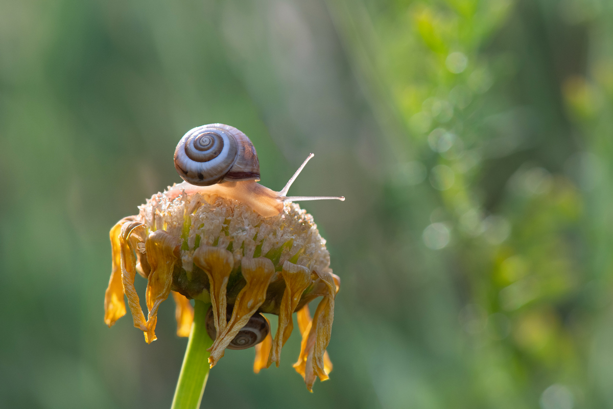 , Людмила Бекман