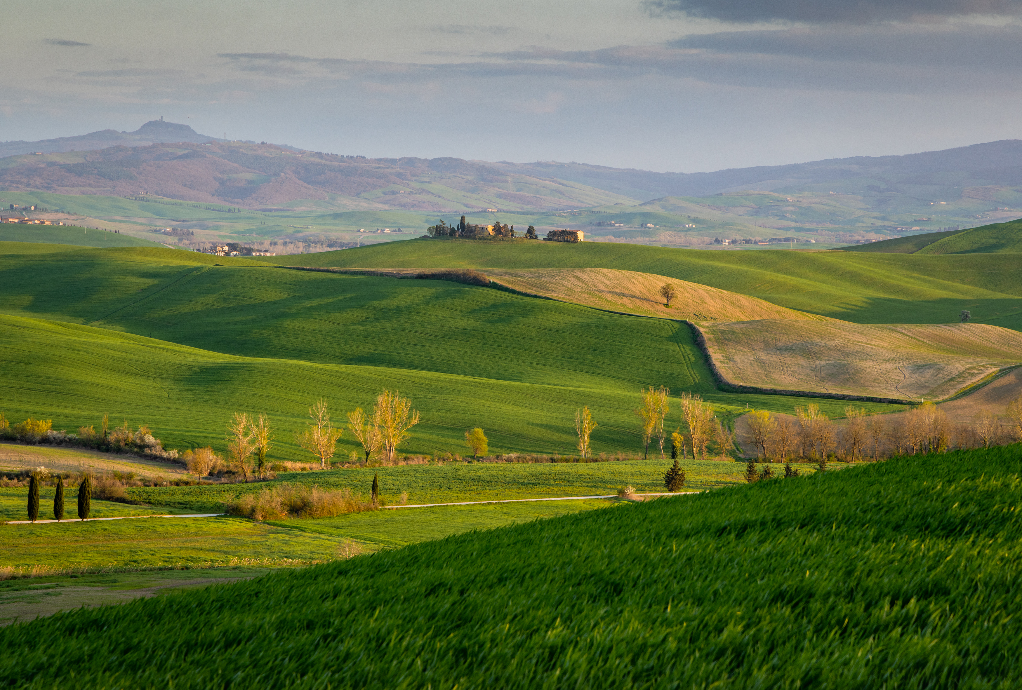 , Алекс Римский
