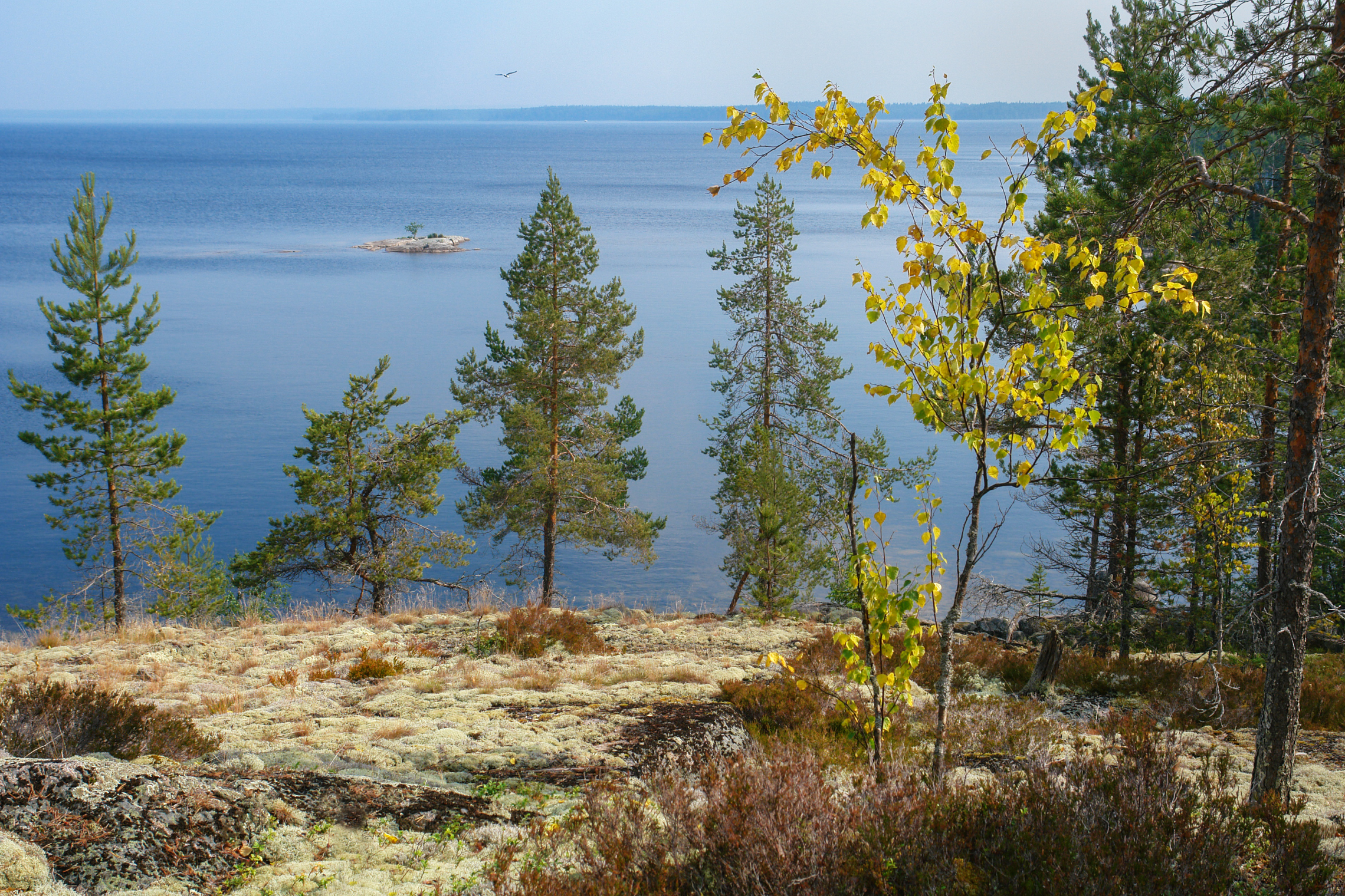 карелия, онего, острова лосьи, Медведев Александр