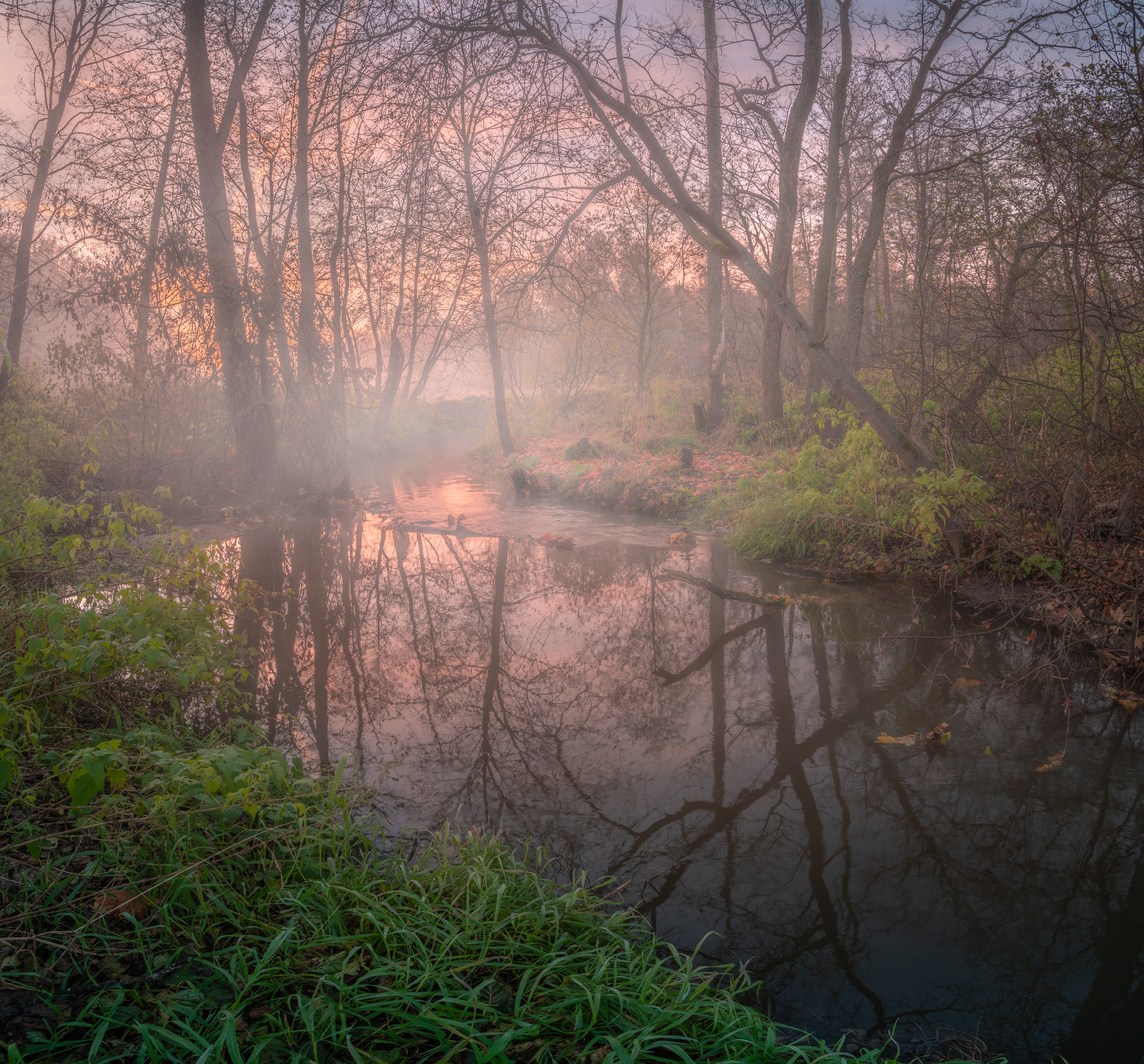 , Кузнецов Семён