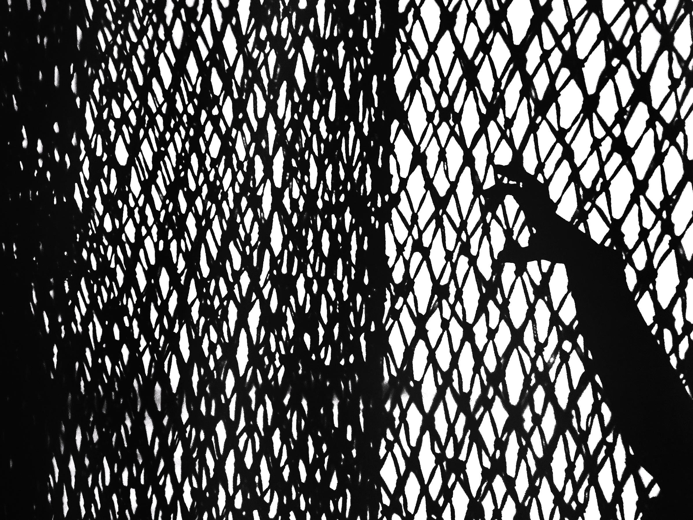 Сеть, рука, Зорин Миша