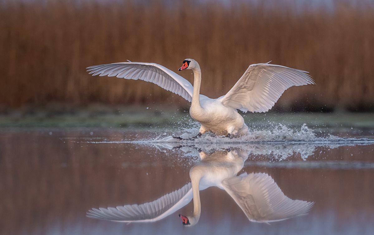 , Sławek Przybylski