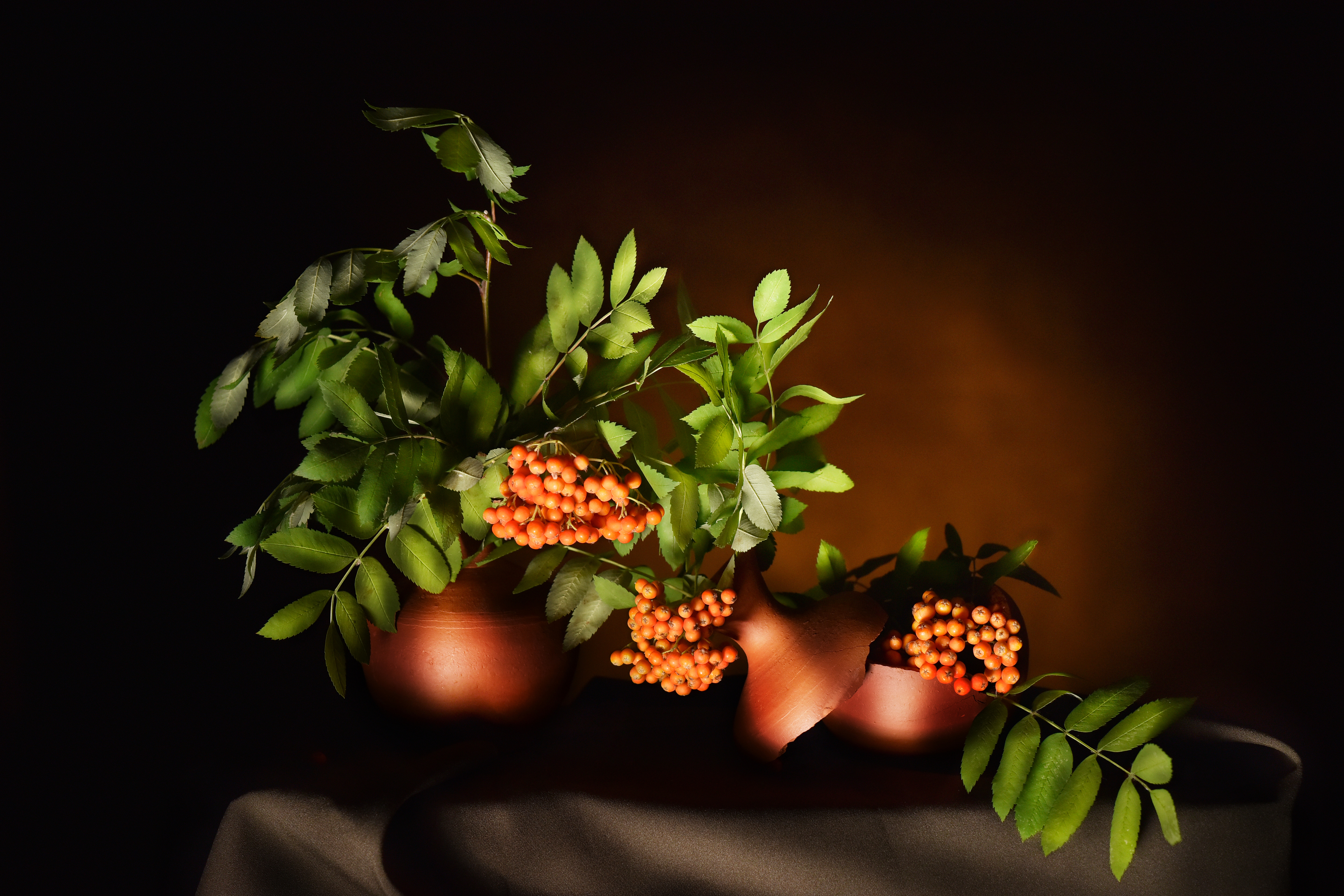 , Анна Штабель