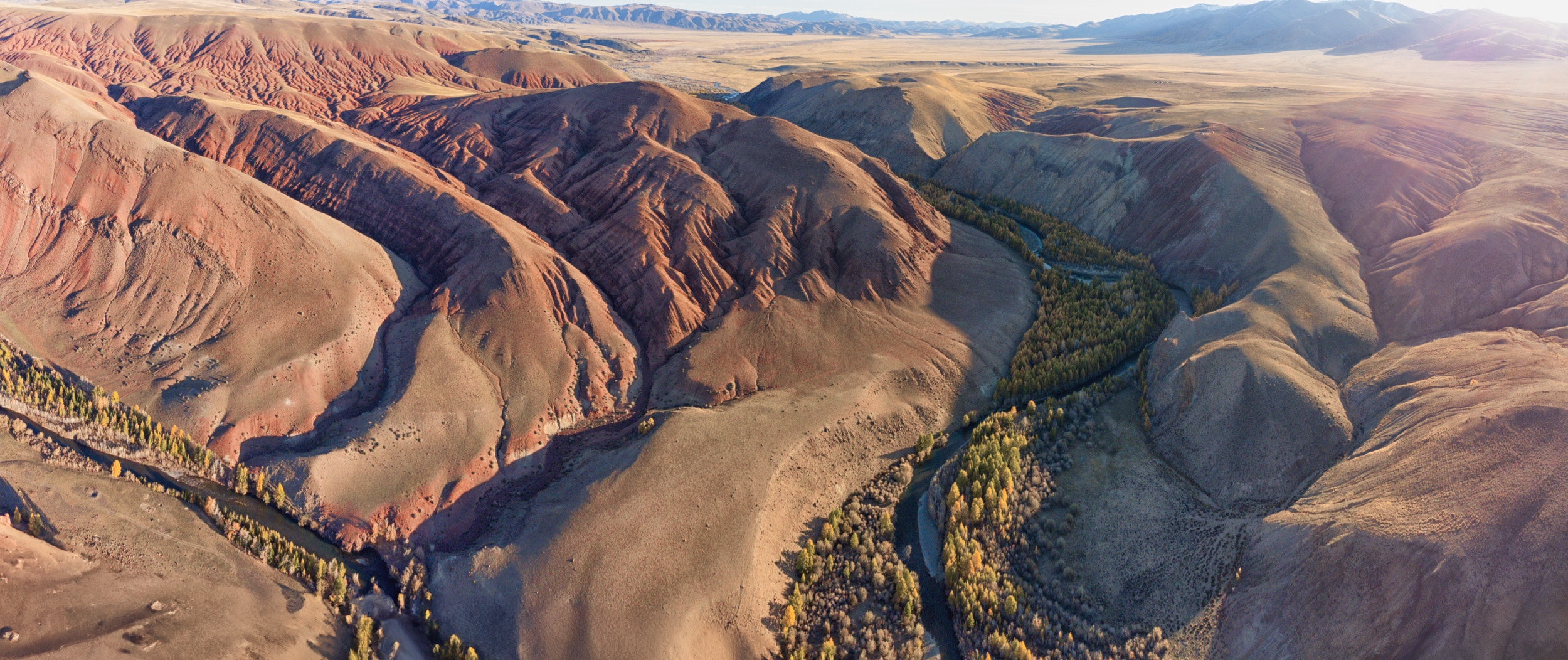Россия, Алтай, Кокоря, пейзаж, Лариса Дука